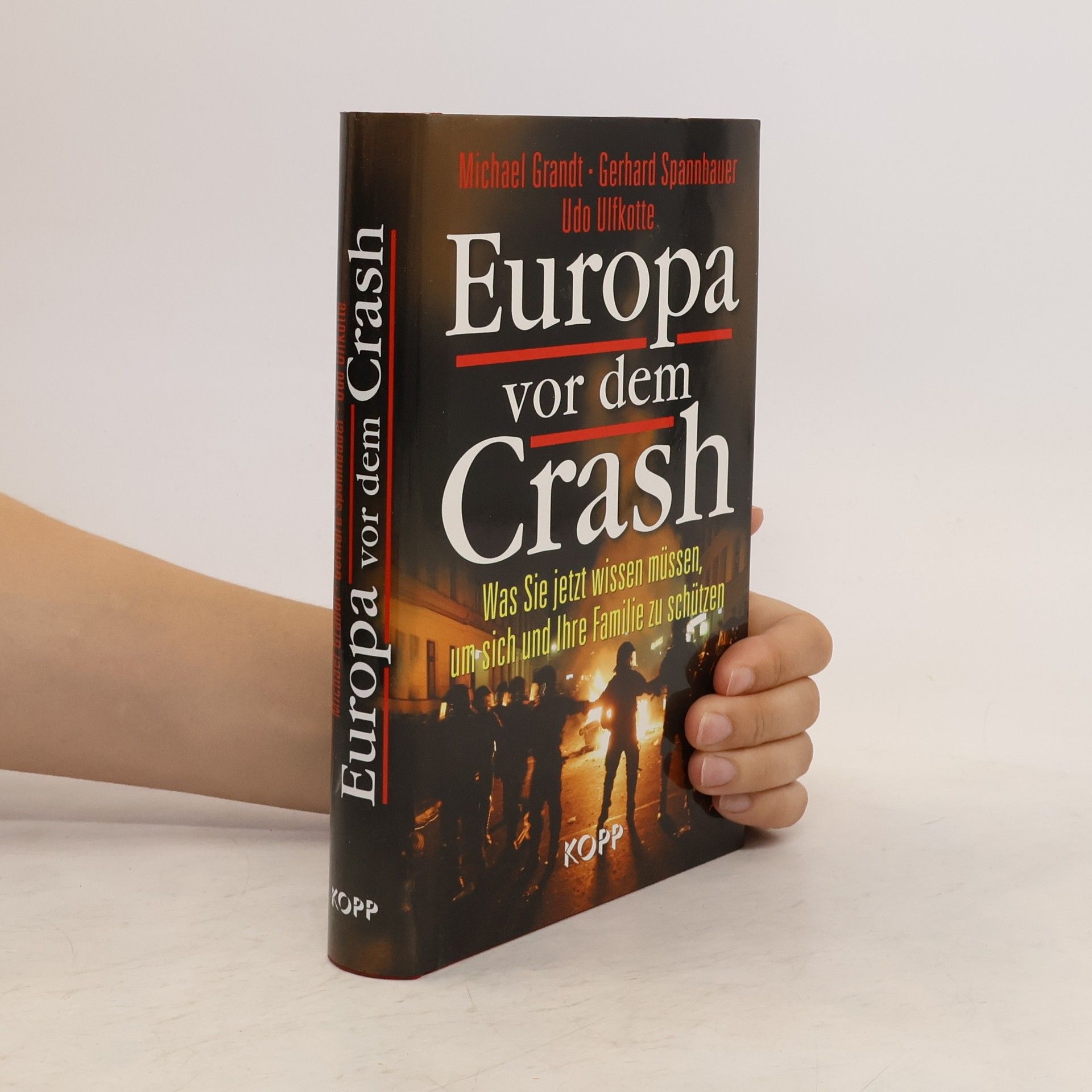 Michael Grandt Europa vor dem Crash