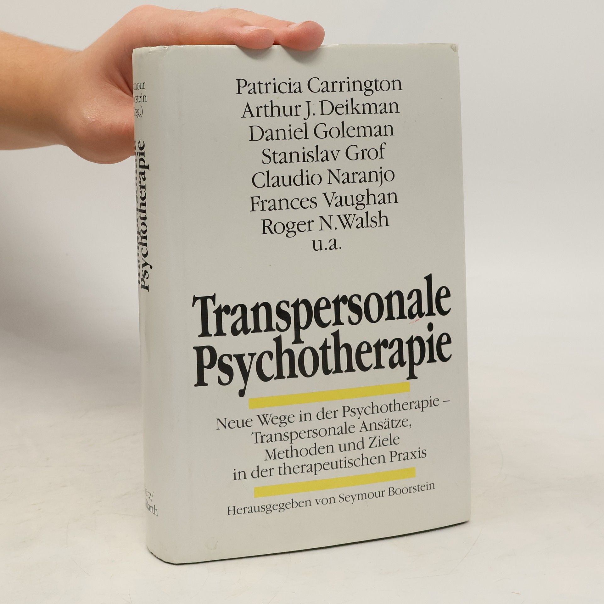 Autores varios Transpersonale Psychotherapie