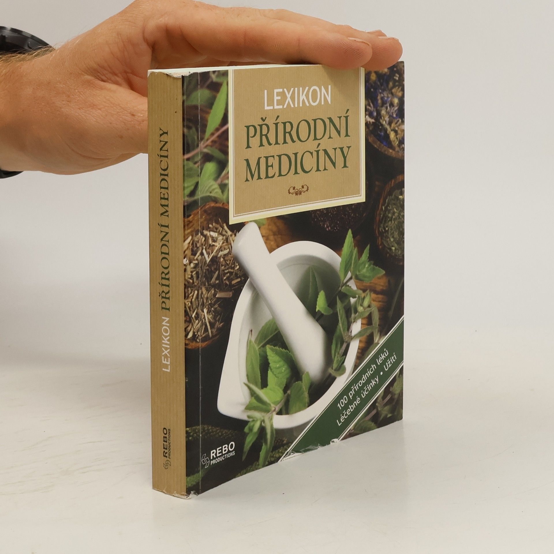 Anne Iburg Lexikon přírodní medicíny