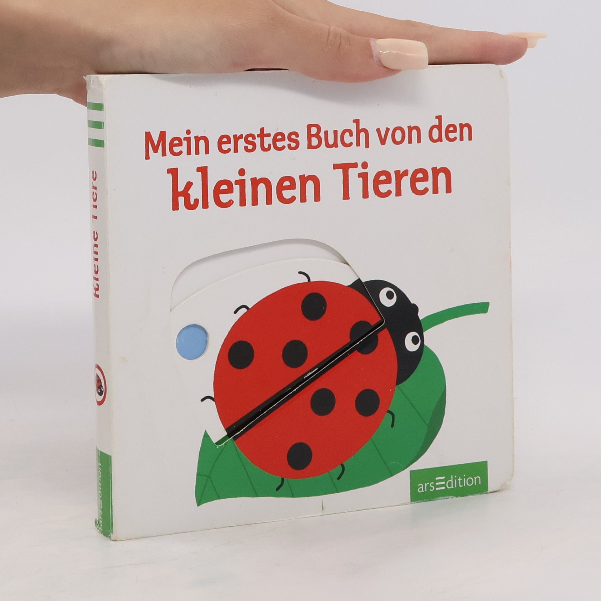 neuveden Mein erstes Buch von den kleinen Tieren
