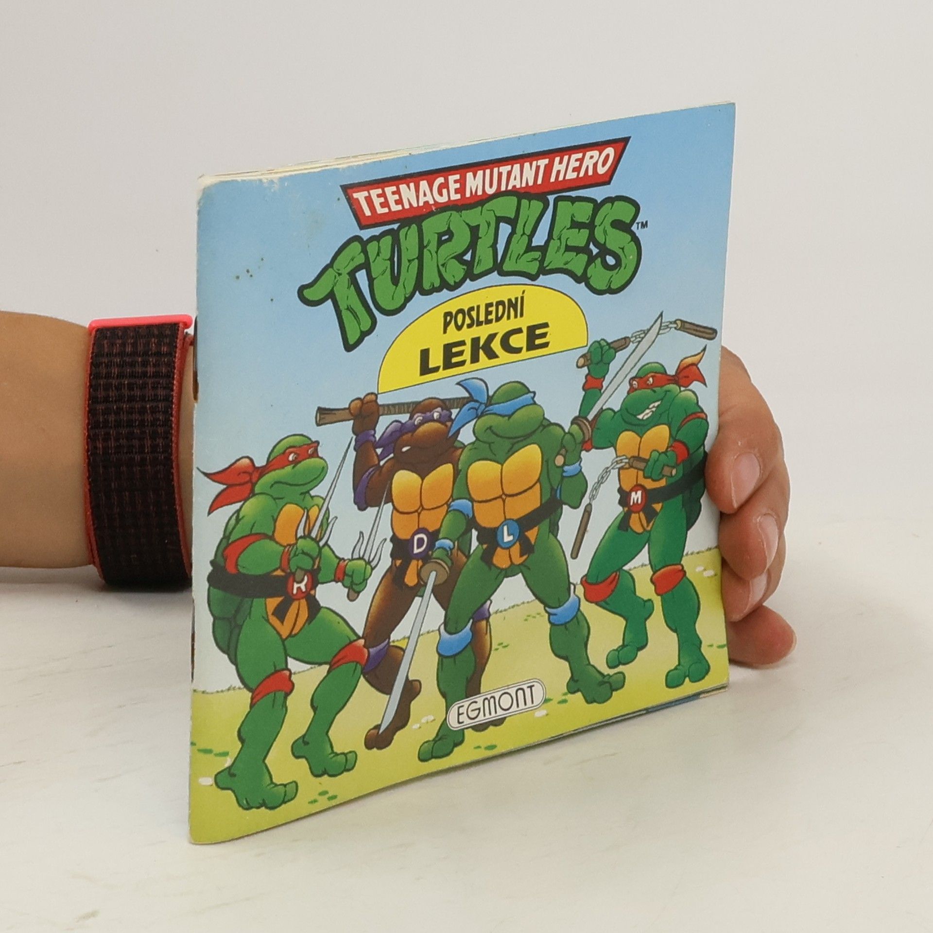 Astrid Holm Turtles, Poslední lekce