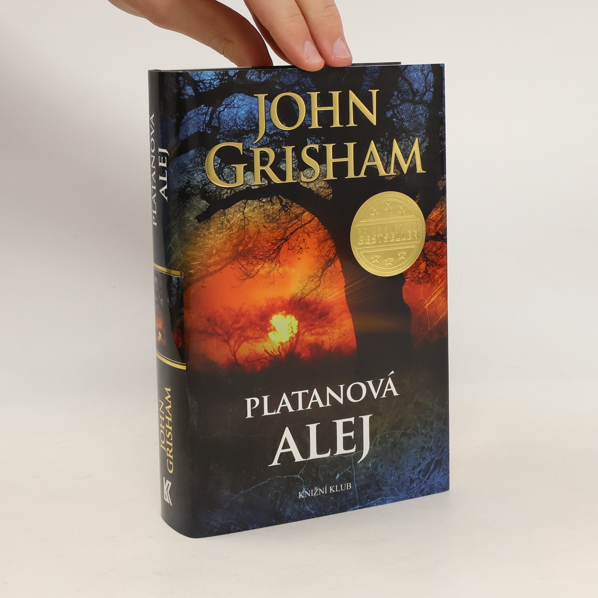 John Grisham Platanová alej