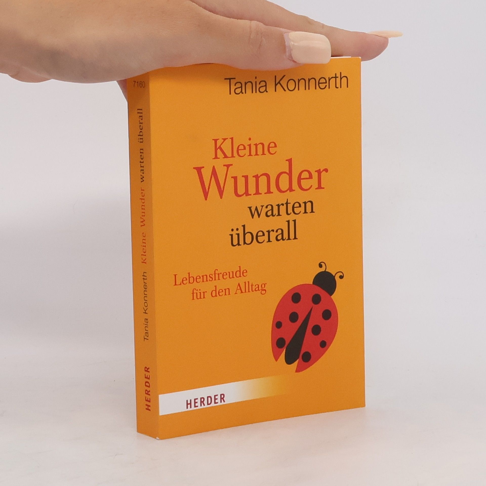 Tania Konnerth Kleine Wunder warten überall