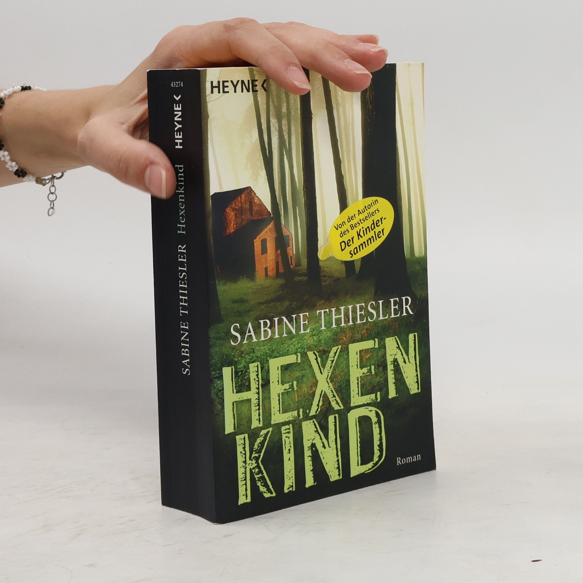 Sabine Thiesler Hexenkind - Roman