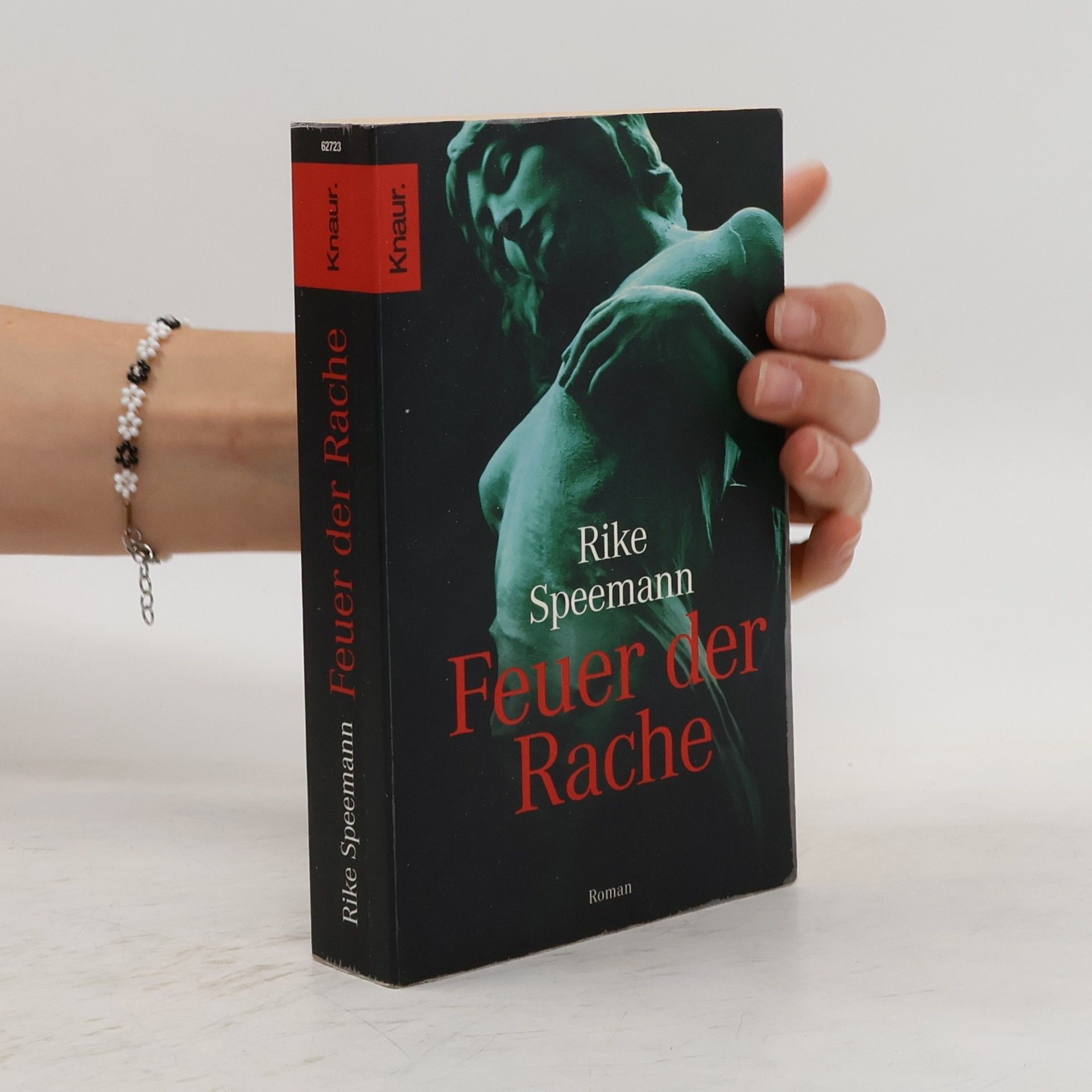 Ulrike Schweikert Feuer der Rache