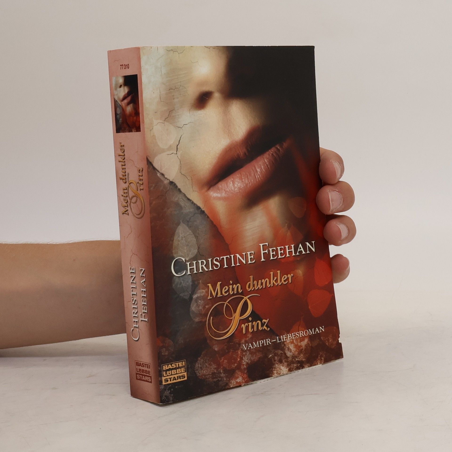 Christine Feehan Mein dunkler Prinz