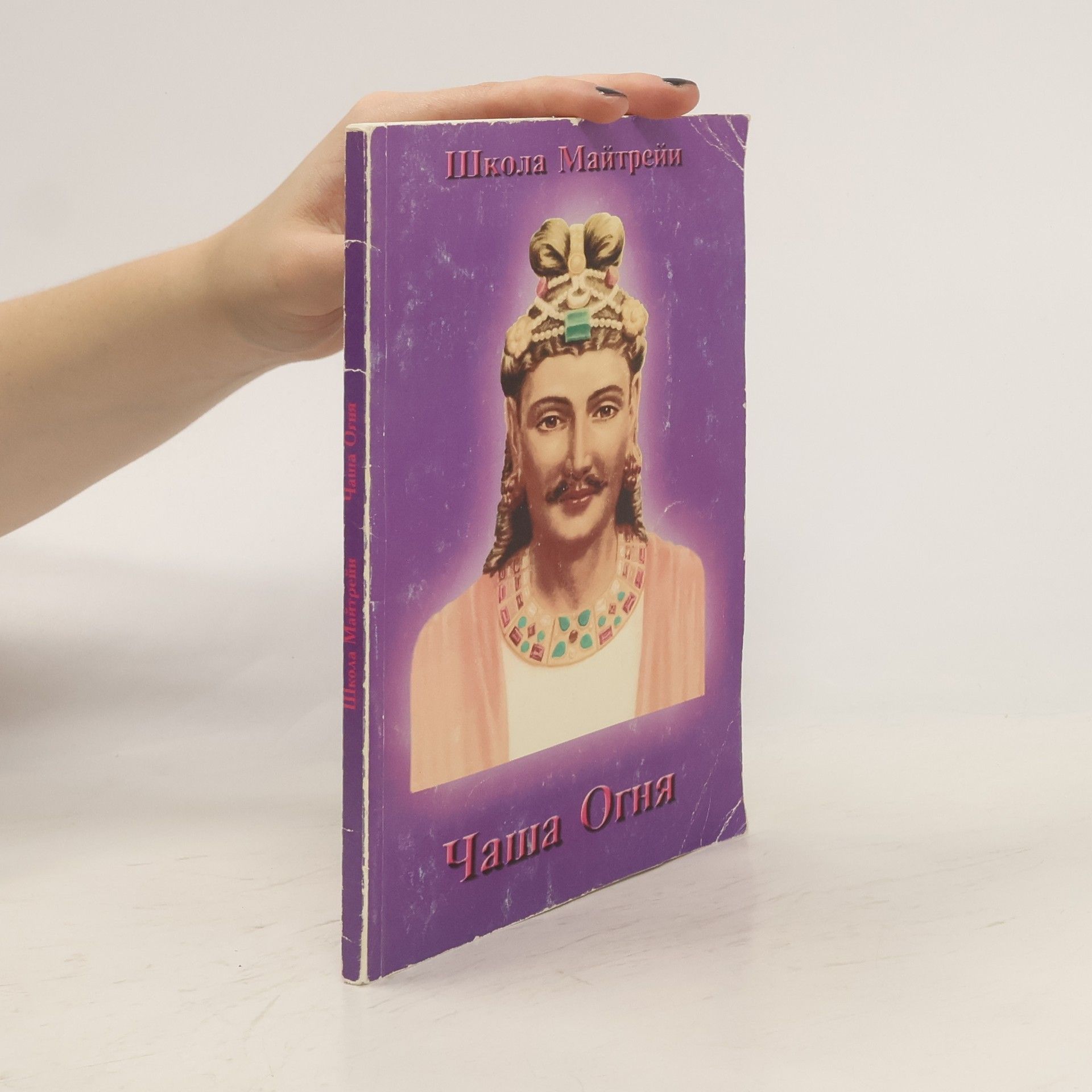 Autorenkollektiv Школа Майтрейи. Чаша Огня