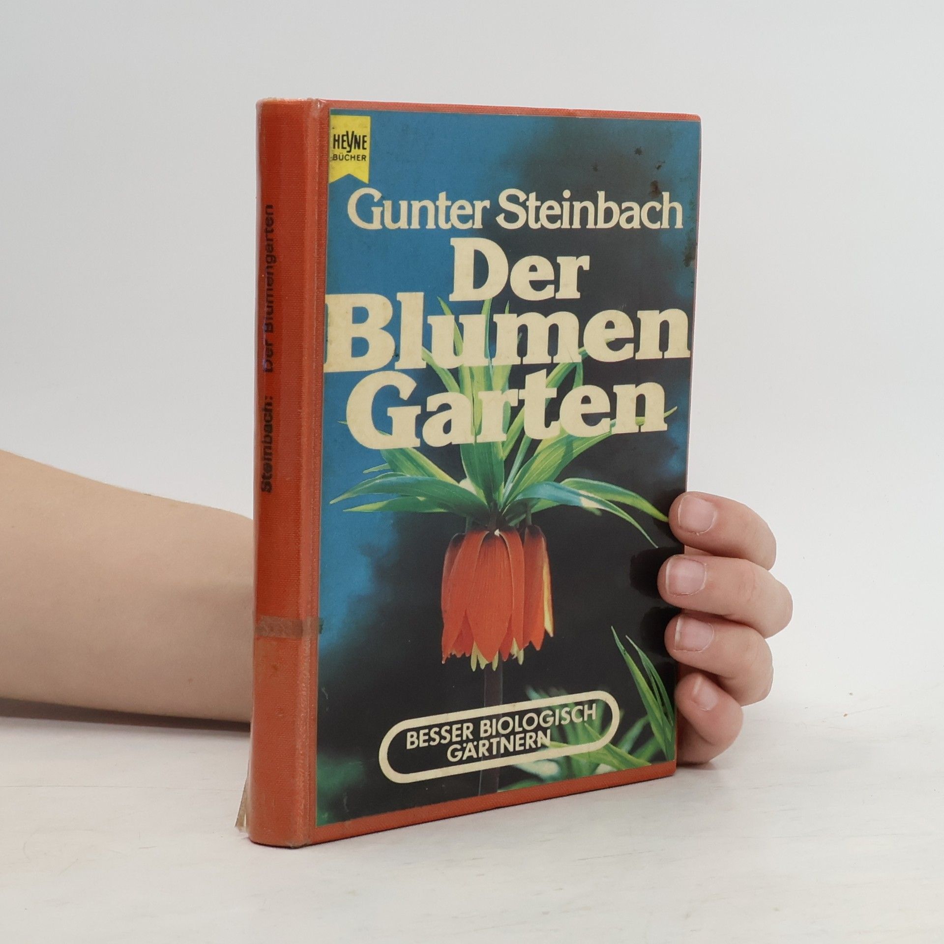 Gunter Steinbach Der Blumengarten