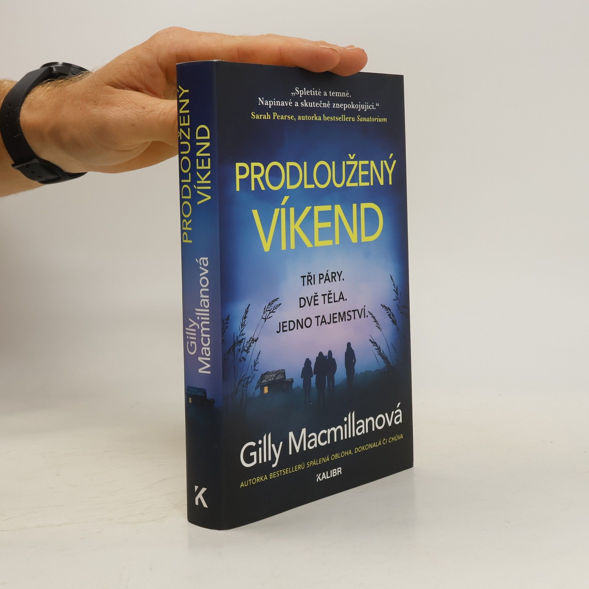 Gilly Macmillan Prodloužený víkend