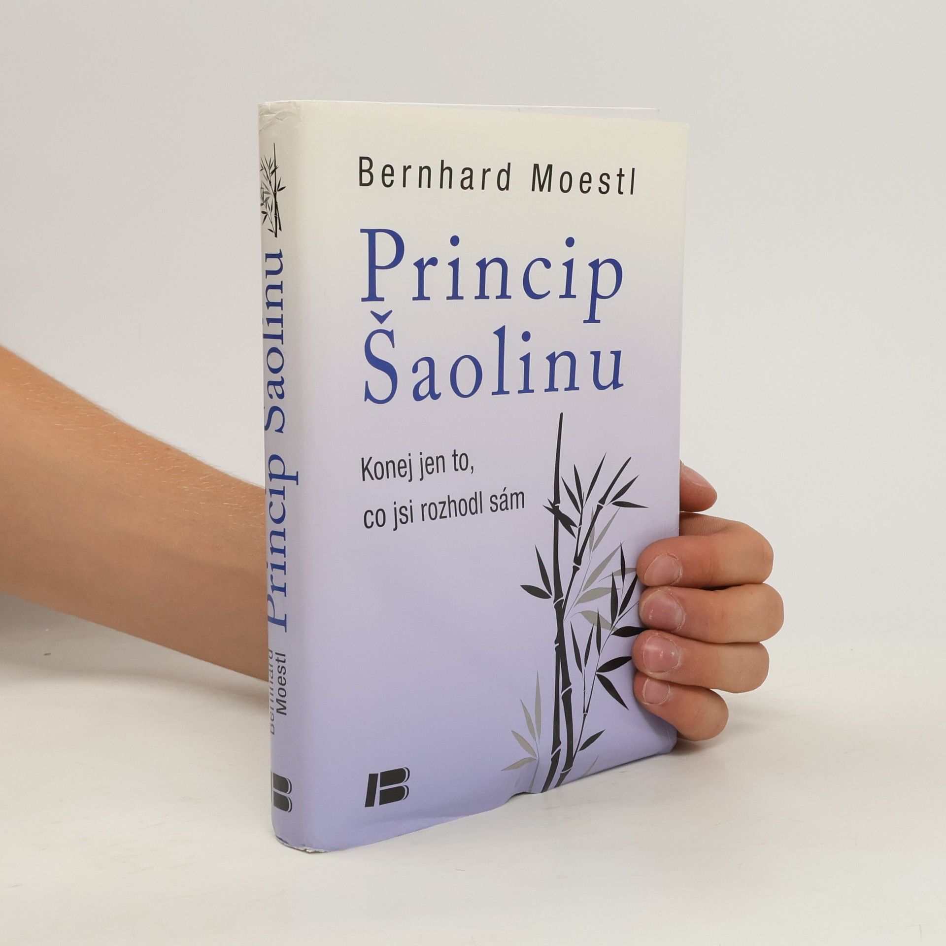 Bernhard Moestl Princip Šaolinu: Konej jen to, co jsi rozhodl sám