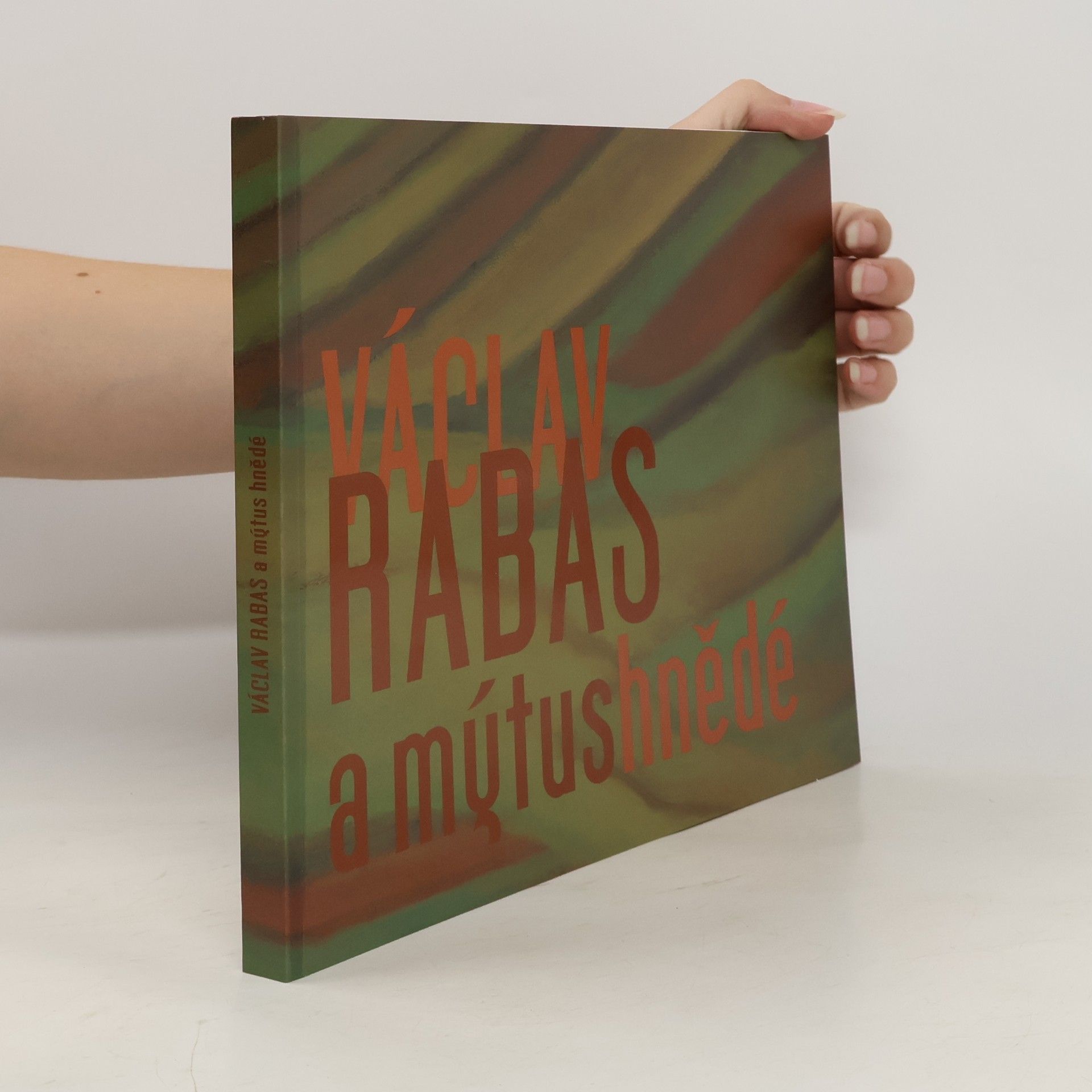 Collective Václav Rabas a mýtus hnědé