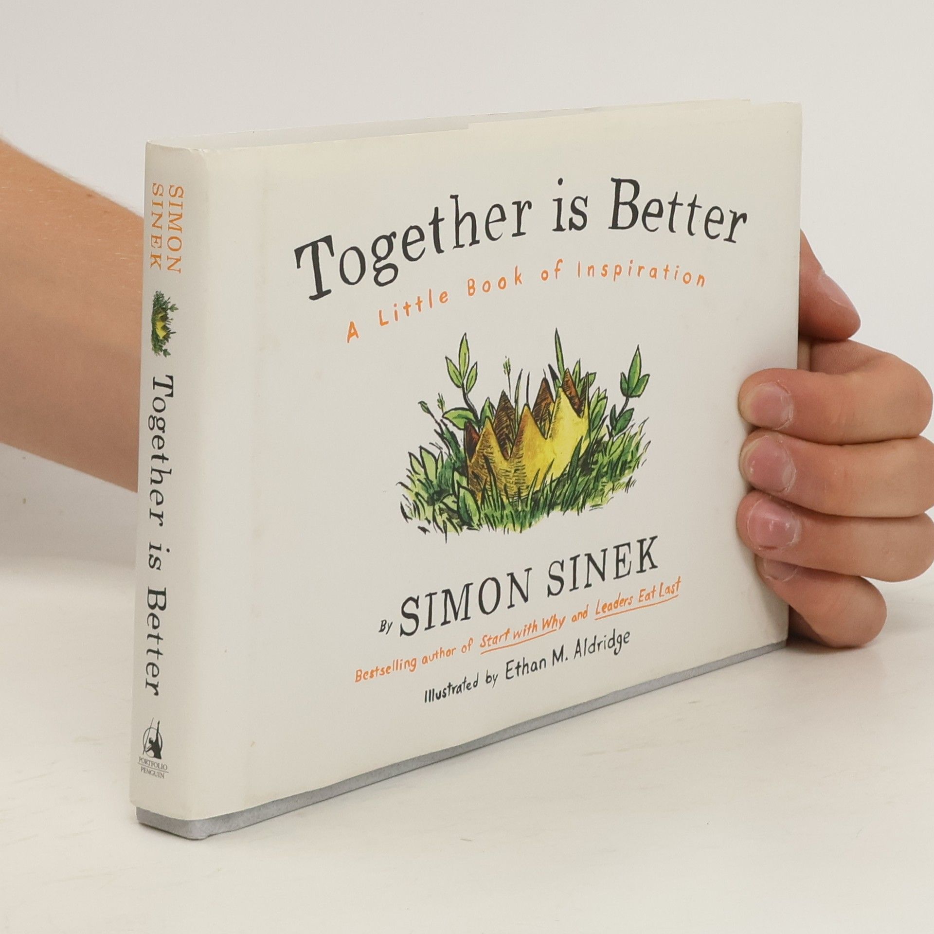 Simon Sinek Together is better : a little book of inspiration