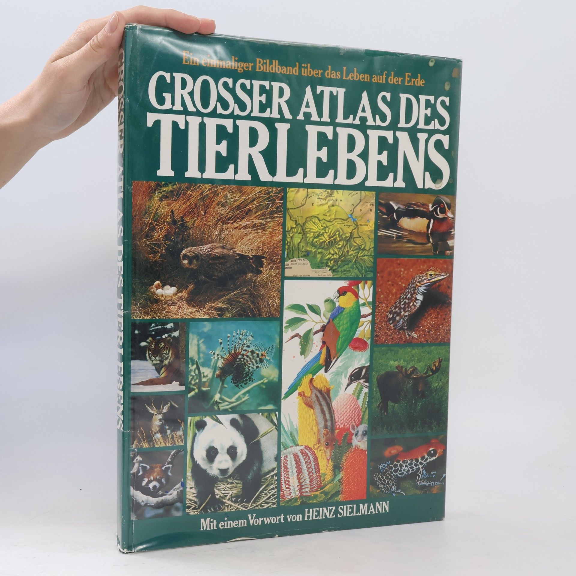 Autorenkollektiv Grosser Atlas des Tierlebens