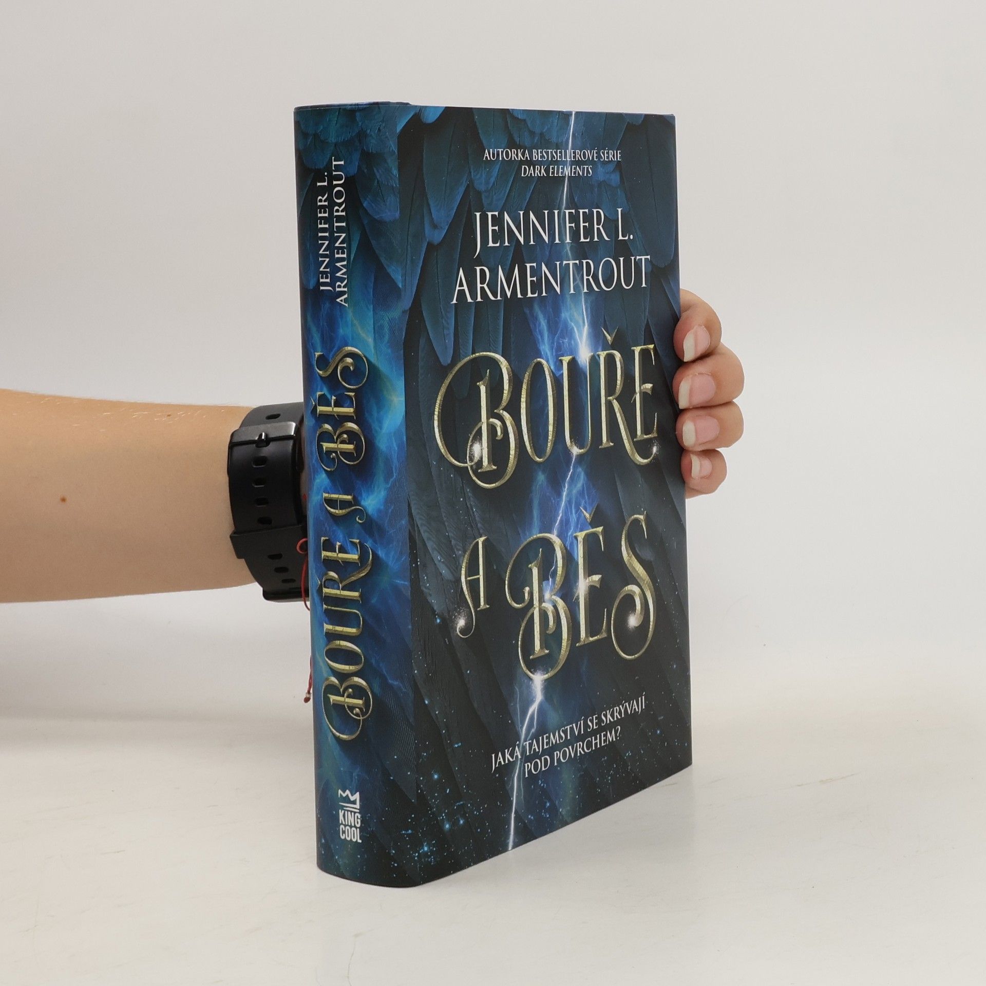 Jennifer Armentrout Bouře a běs