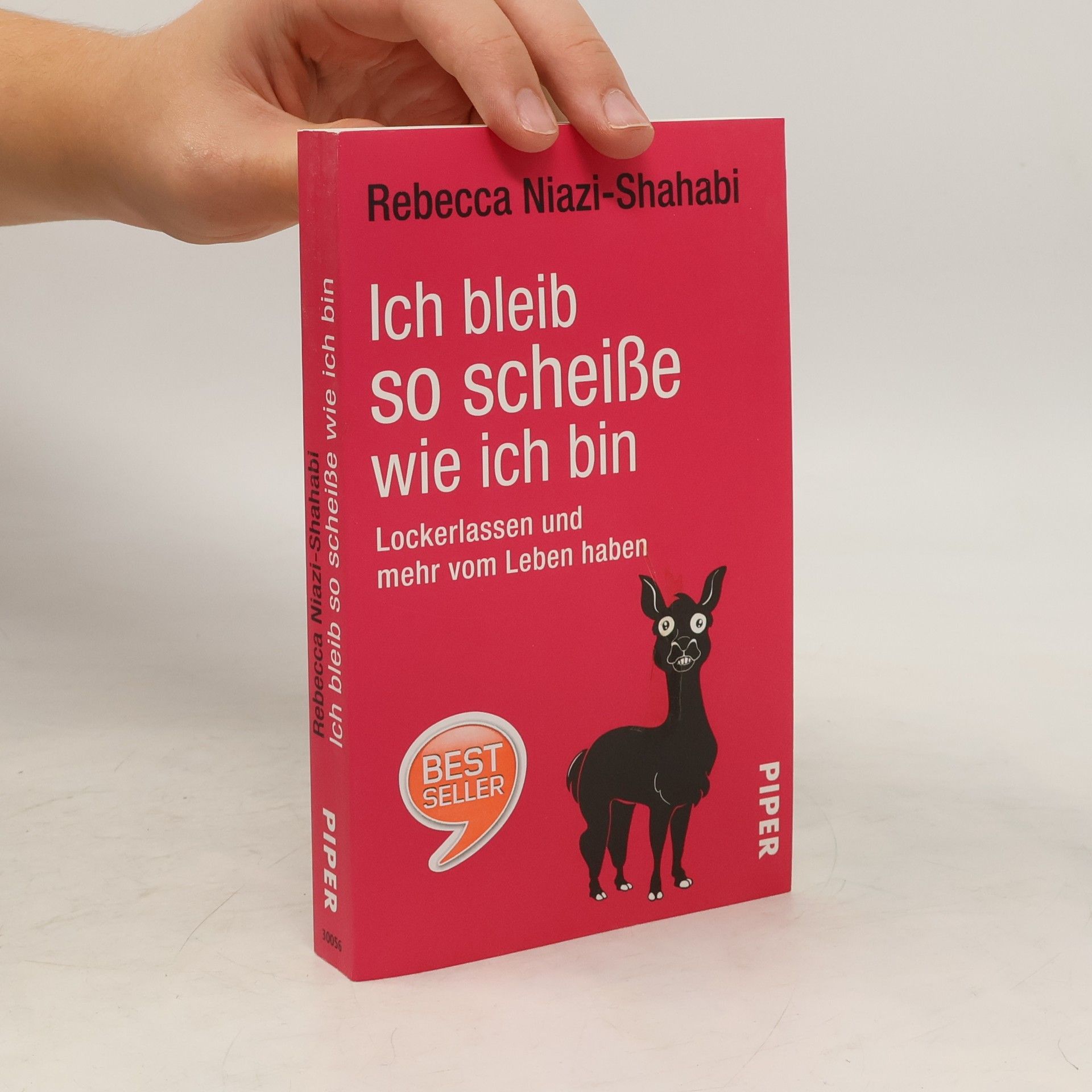 Rebecca Niazi-Shahabi Ich bleib so scheiße wie ich bin