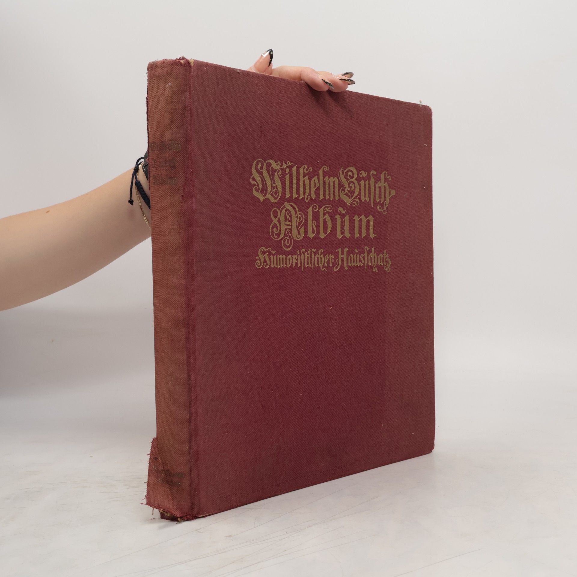 Wilhelm Busch Wilhelm Busch-Album: Humoristischer Hausschatz mit 1500 Bildern