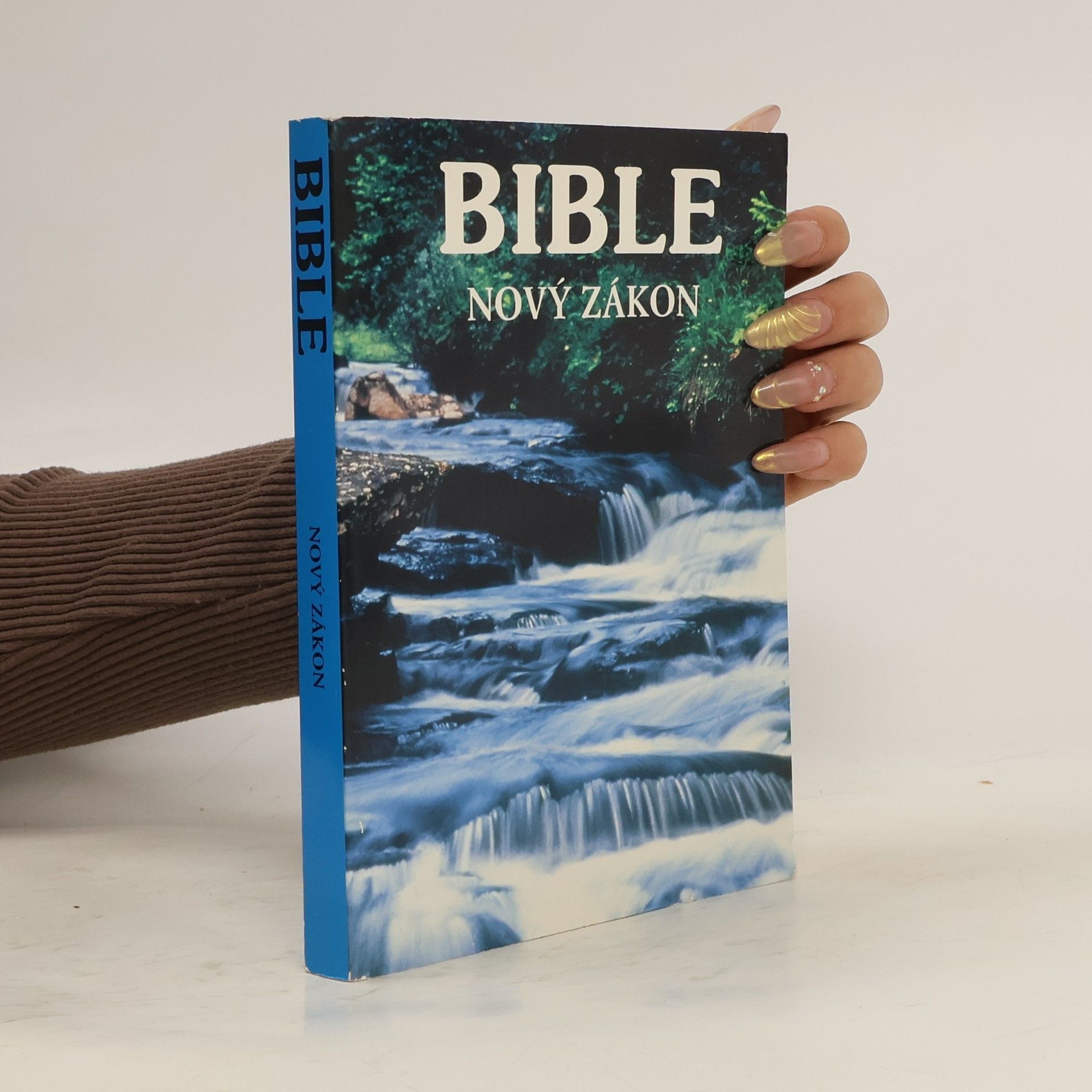 Collectif d'auteurs Bible. Nový zákon