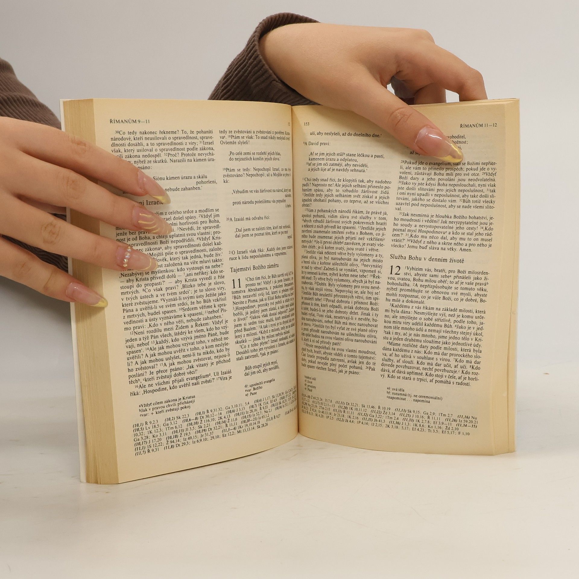Collectif d'auteurs Bible. Nový zákon