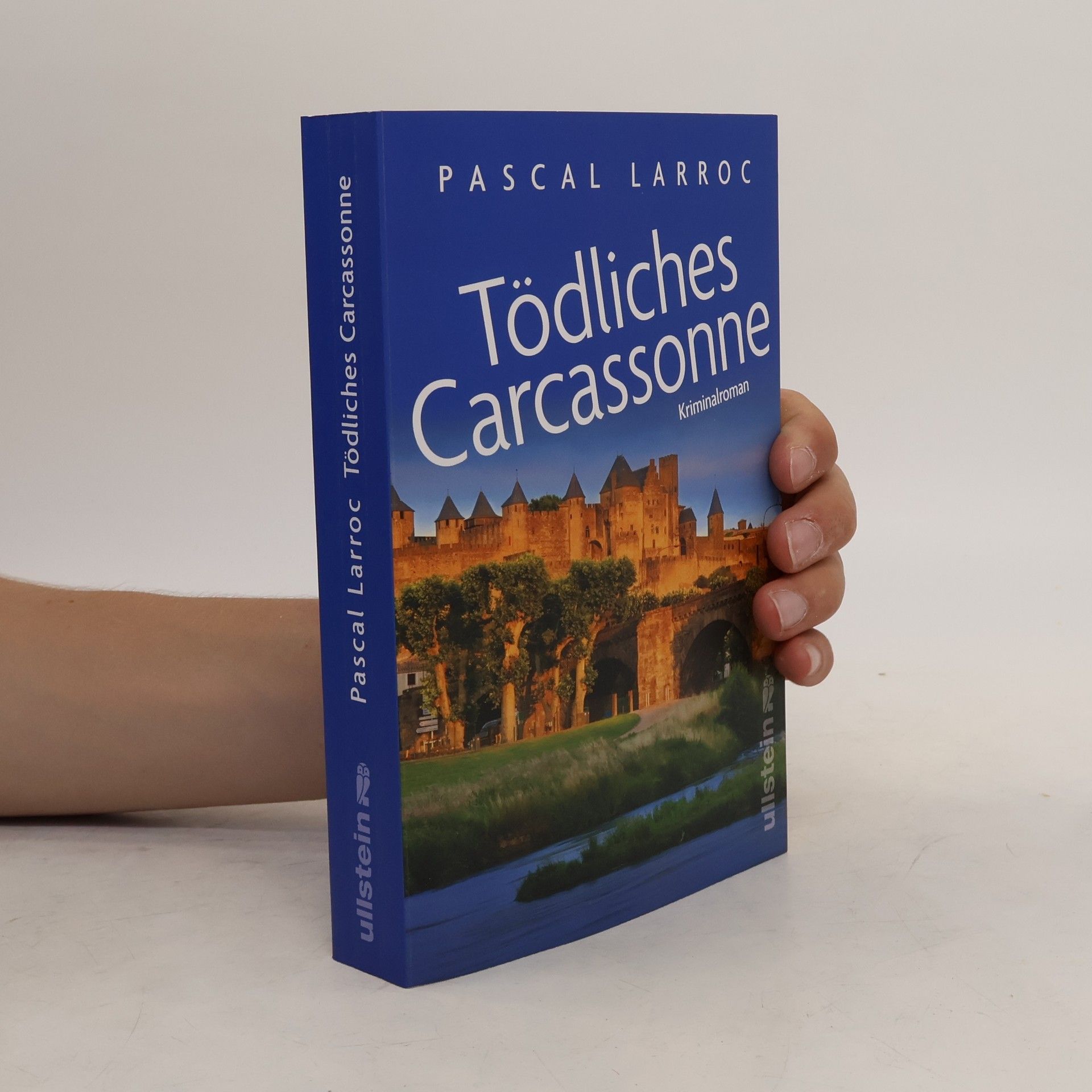 Pascal Larroc Tödliches Carcassonne