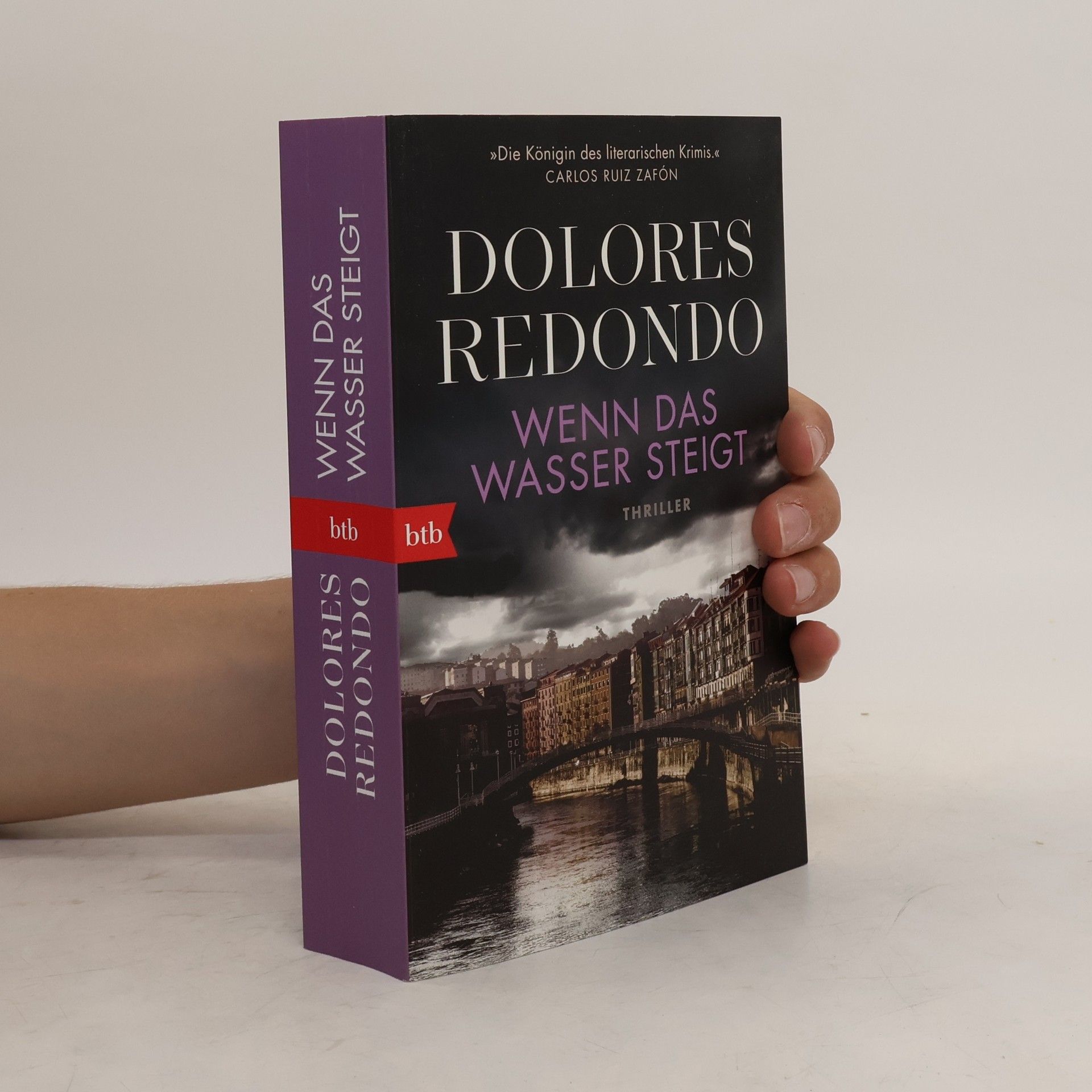 Dolores Redondo Wenn das Wasser steigt