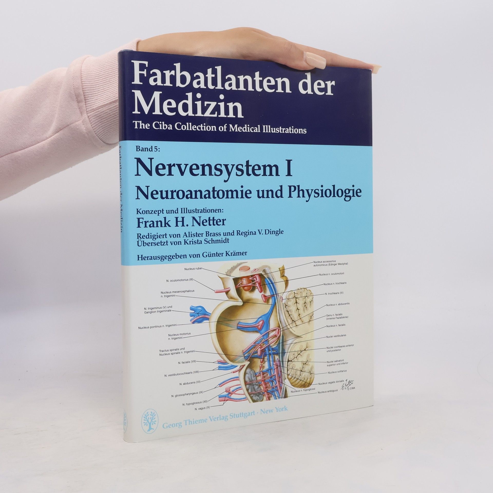 Collectif d'auteurs Nervensystem 1. Neuroanatomie und Physiologie