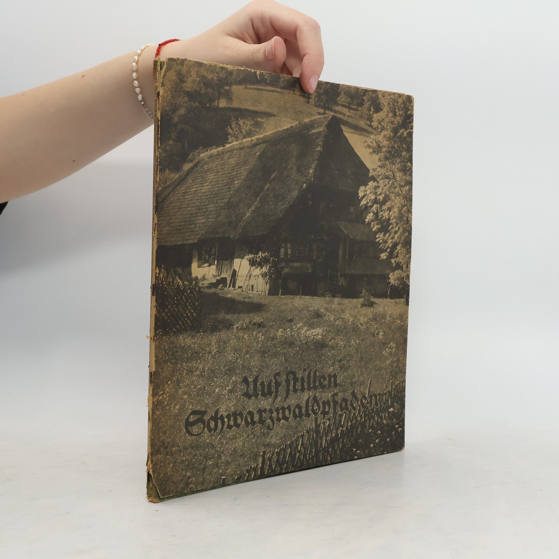 Autorenkollektiv Auf stillen Schwarzwaldpfaden