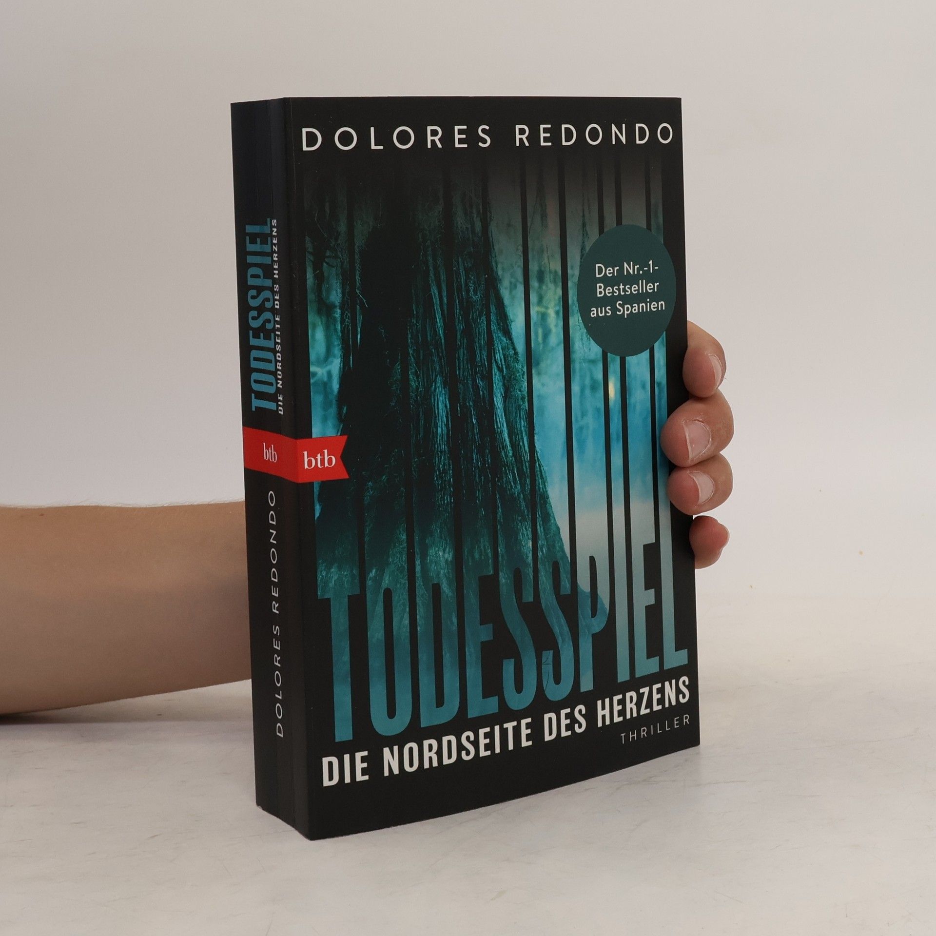 Dolores Redondo Todesspiel. Die Nordseite des Herzens