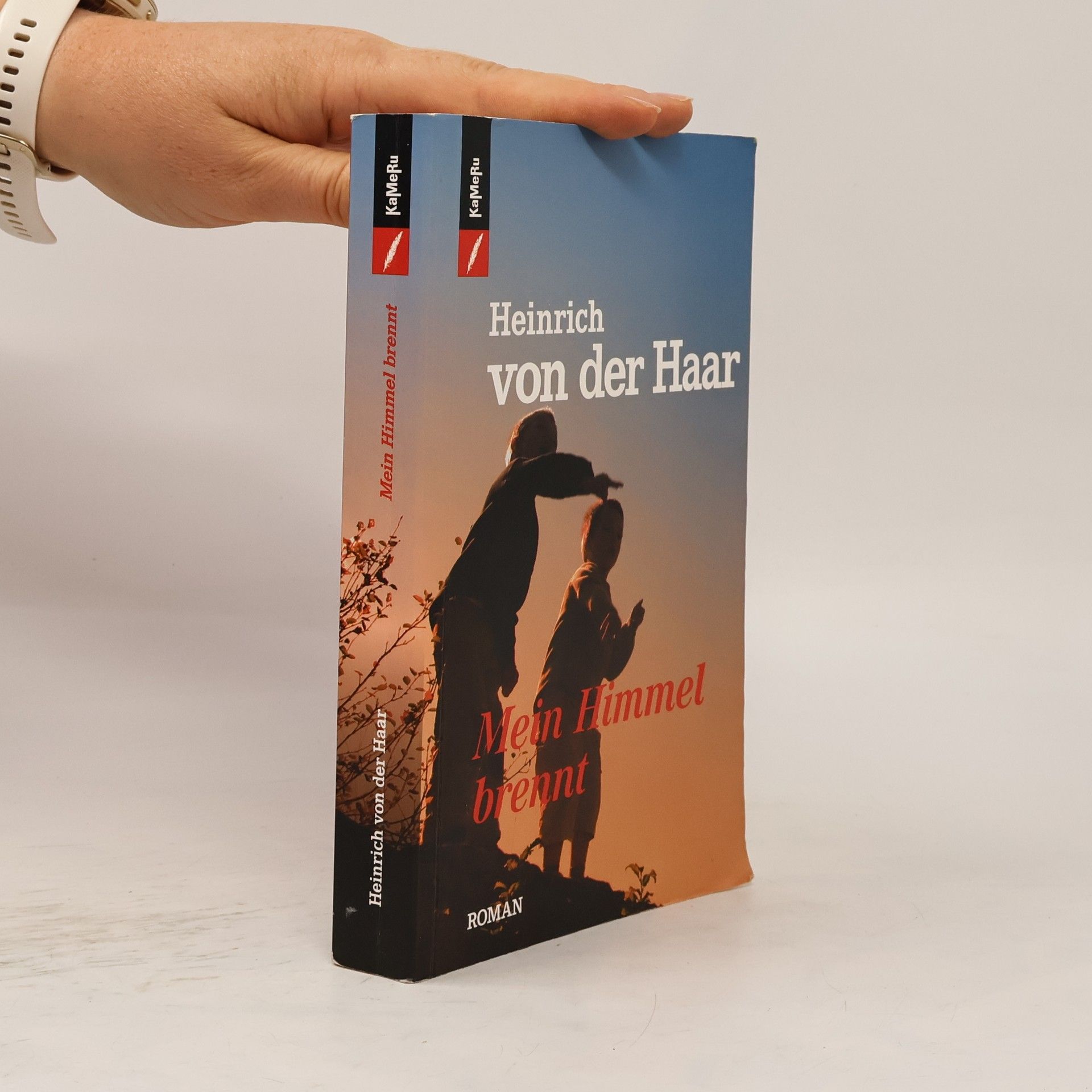 Heinrich von der Haar Mein Himmel brennt