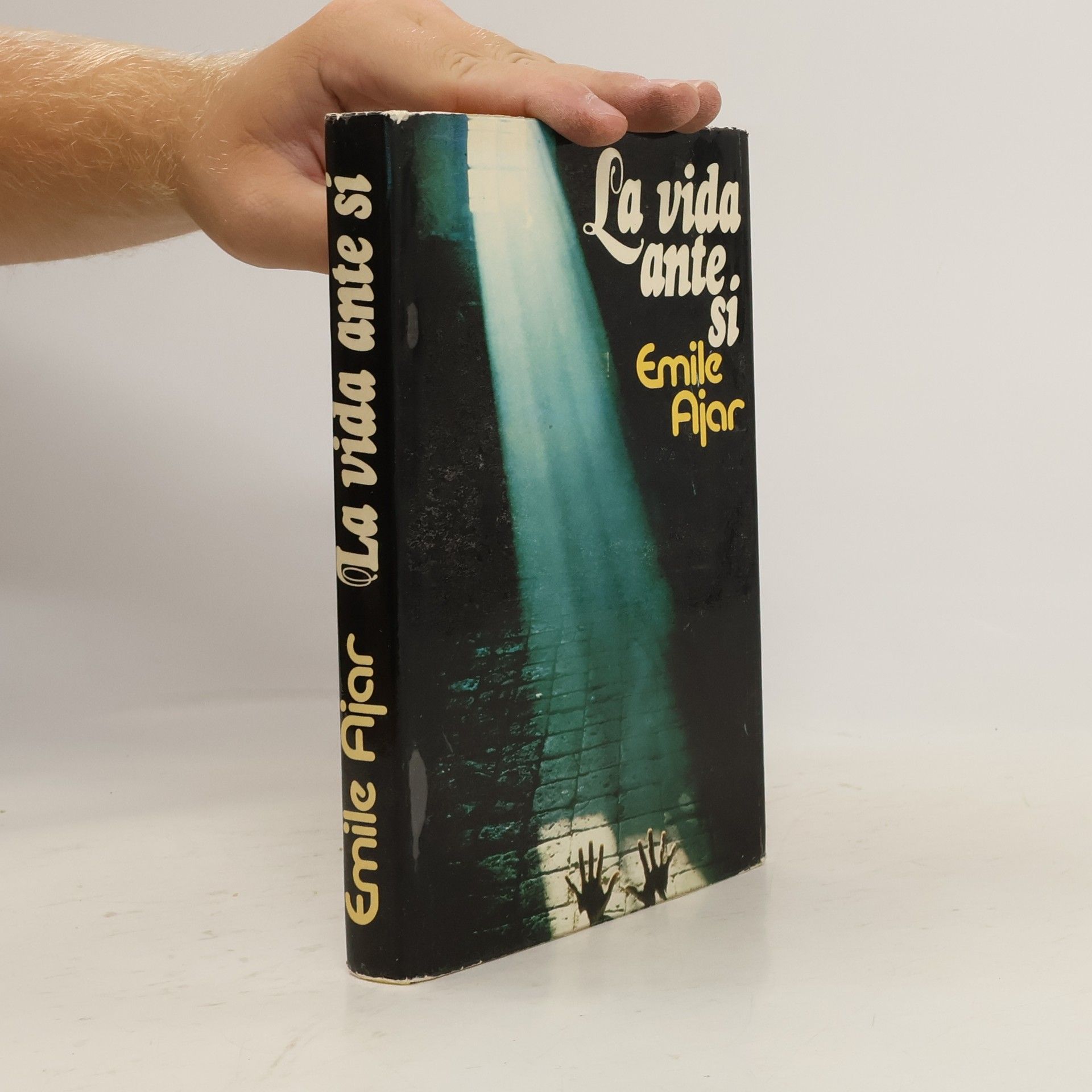 Romain Gary La vida ante sí