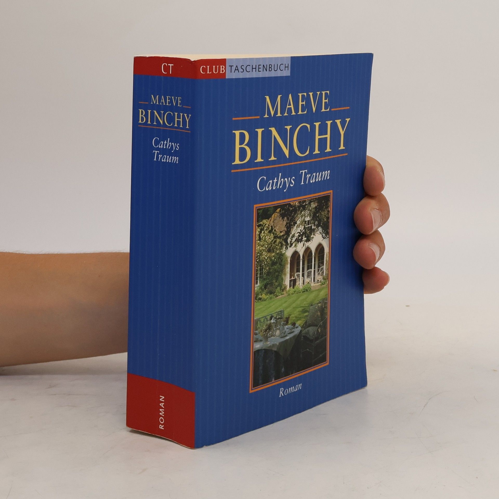 Maeve Binchy Cathys Traum