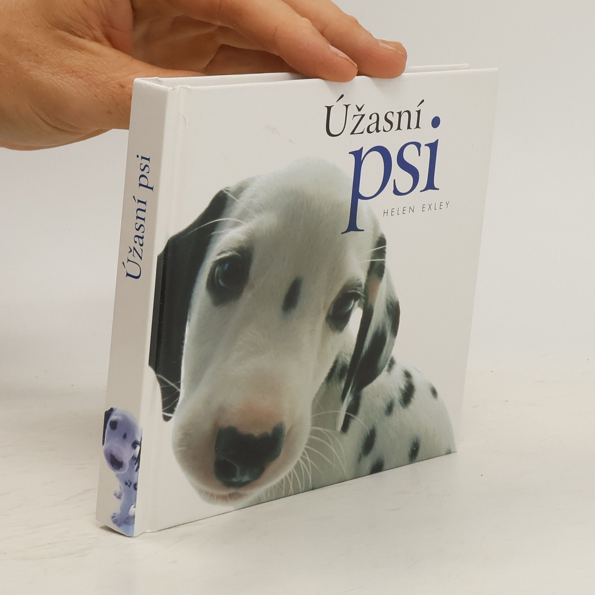 Yoneo Morita Úžasní psi