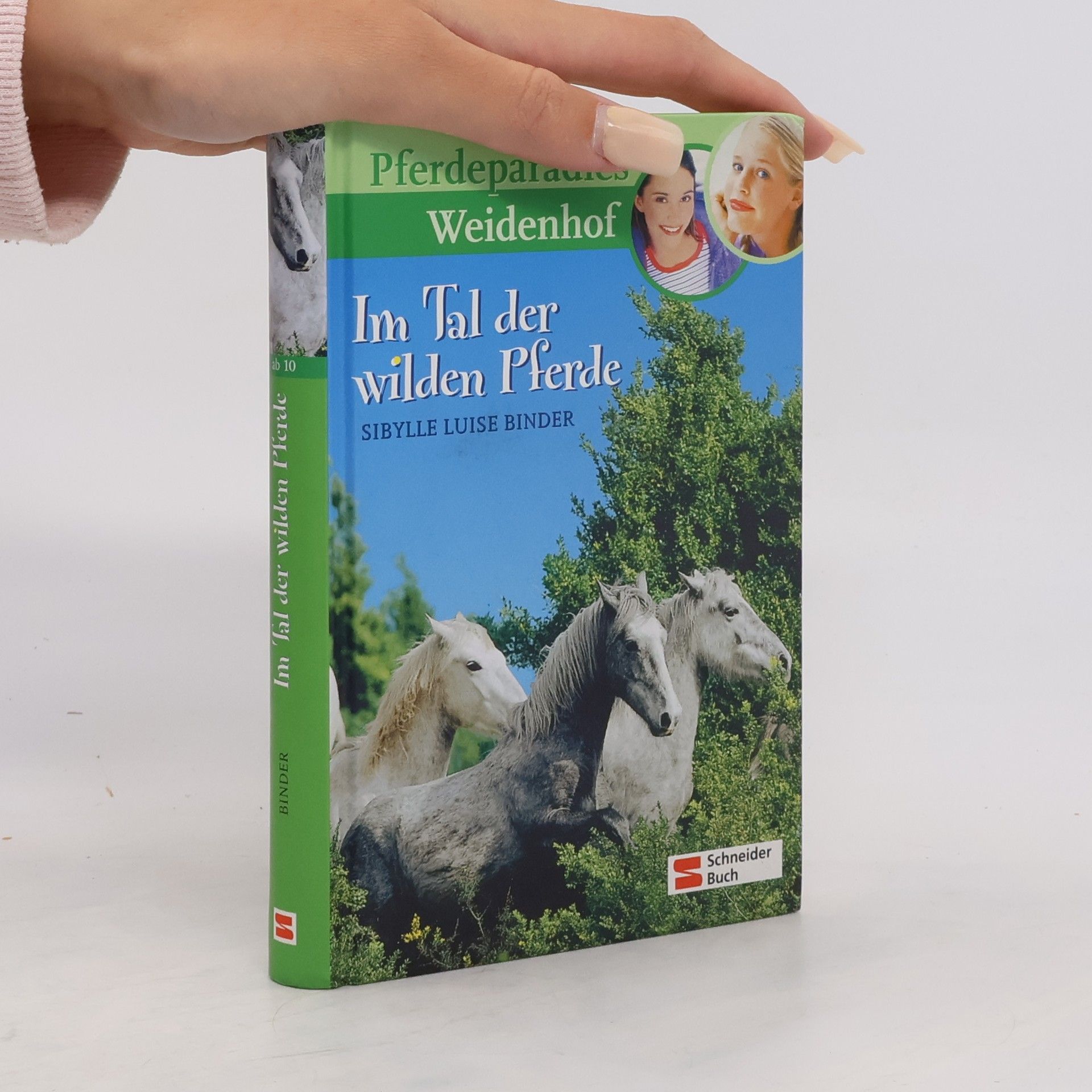 Sibylle Luise Binder Pferdeparadies Weidenhof. Im Tal der wilden Pferde