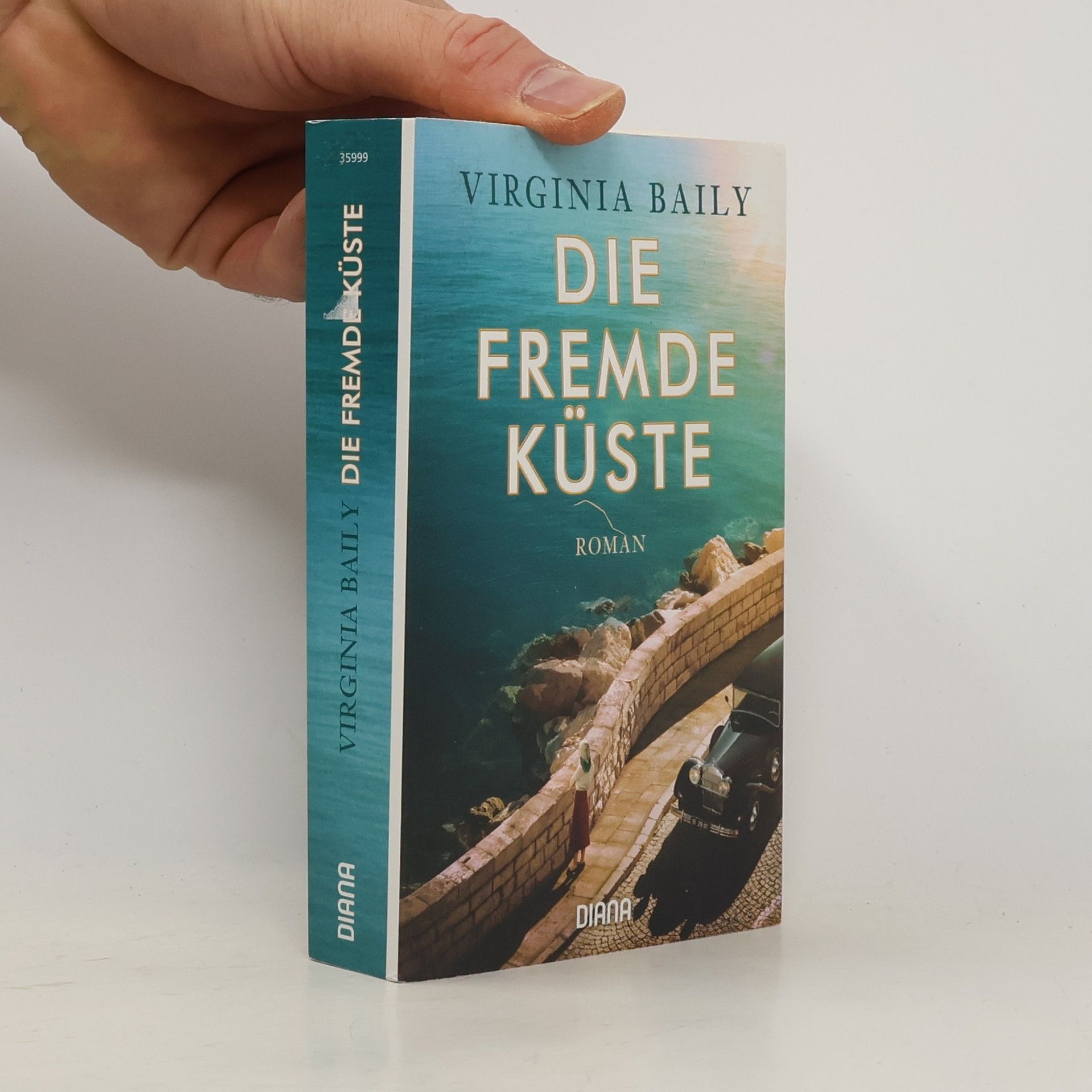 Virginia Baily Die fremde Küste