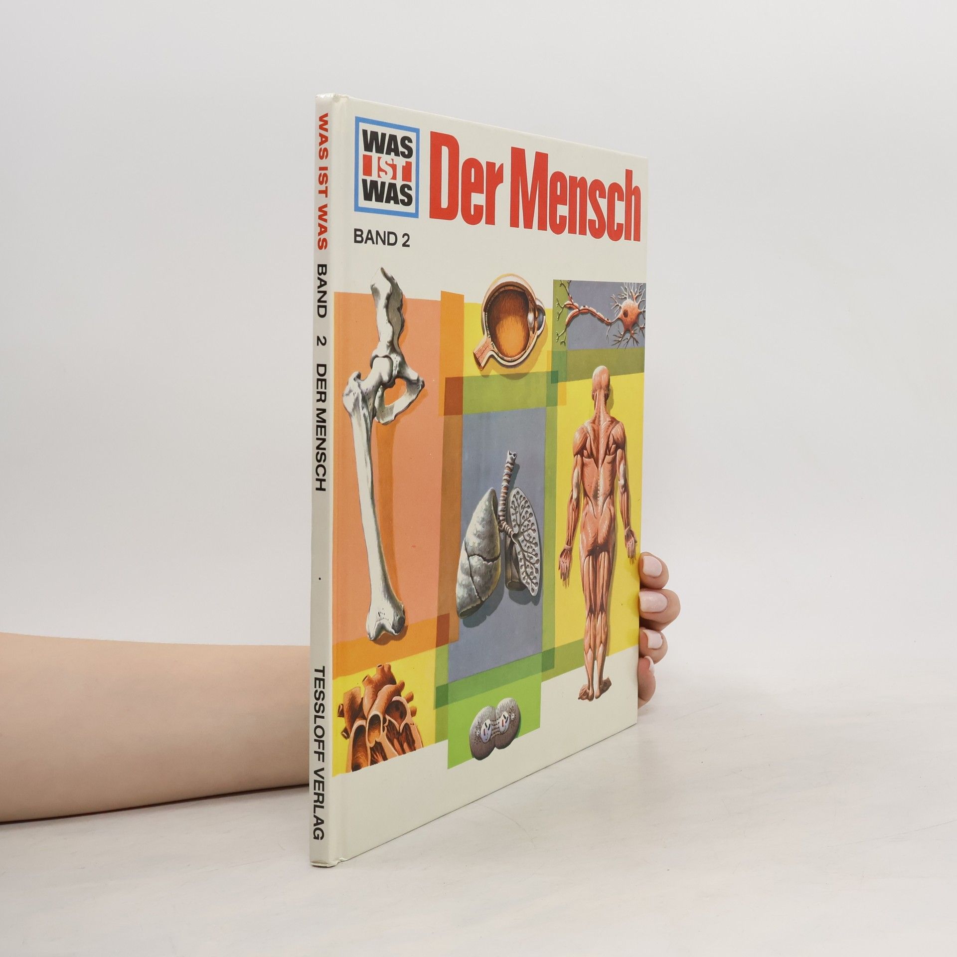 Der Mensch