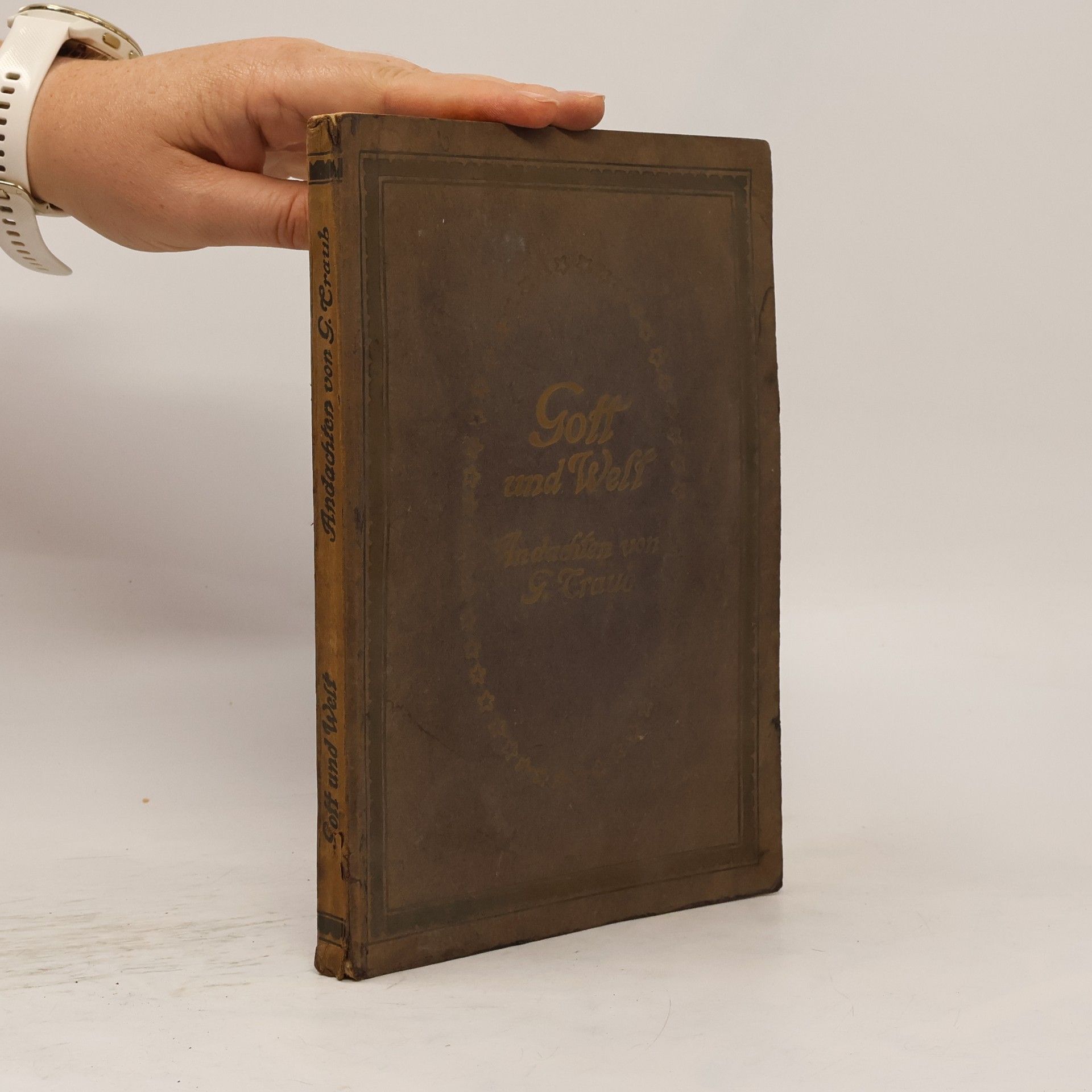 Gottfried Traub Gott und Welt