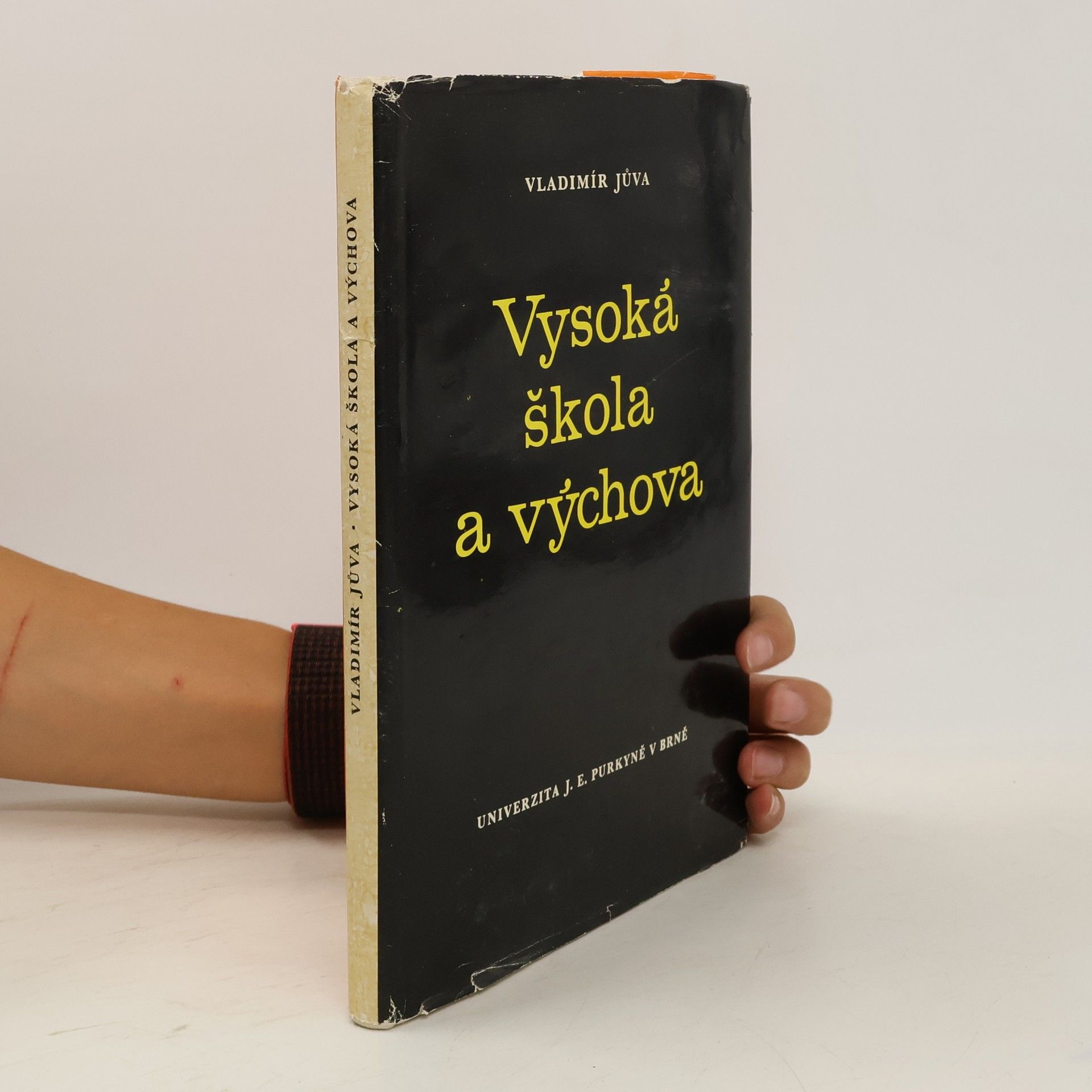 Vladimír Jůva Vysoká škola a výchova
