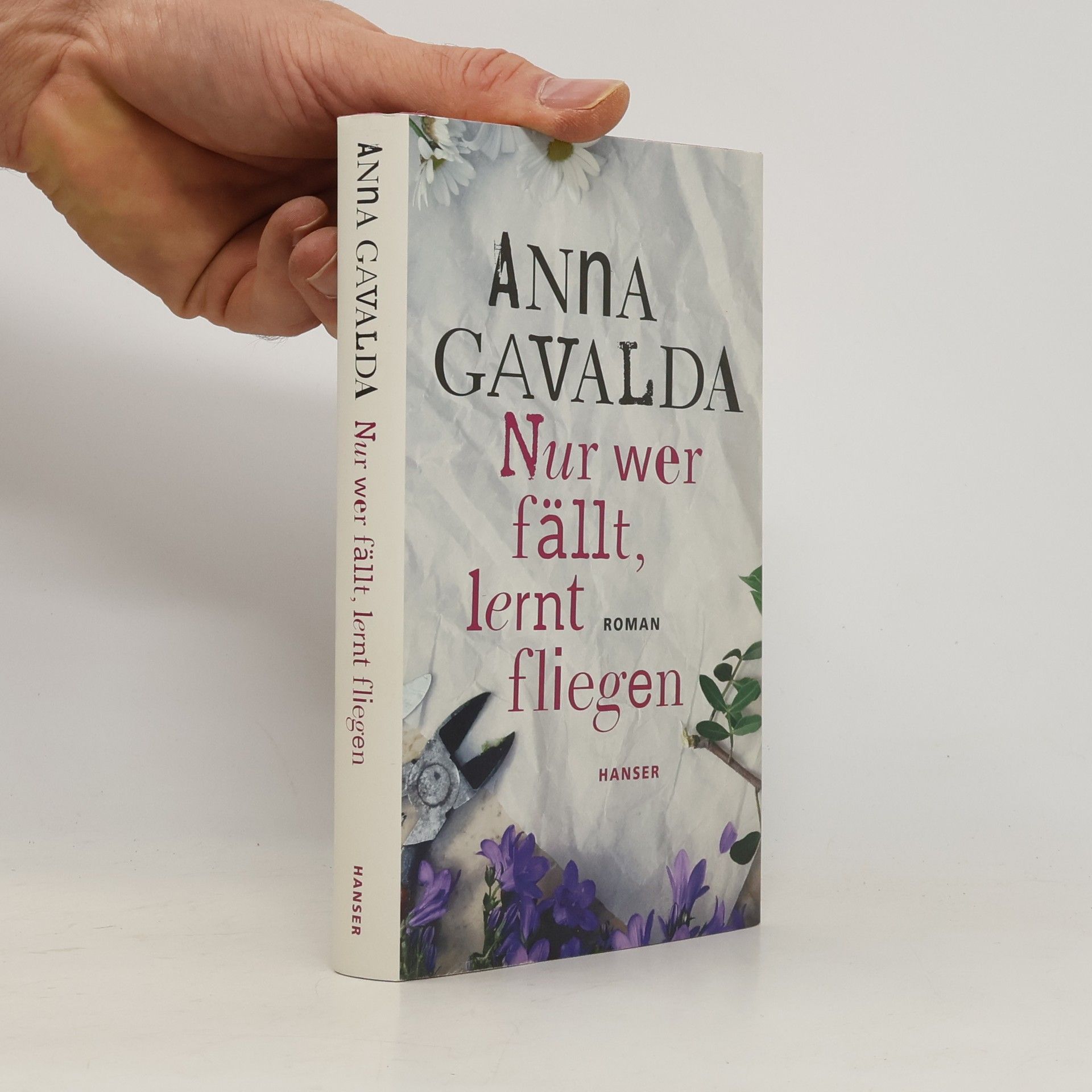 Anna Gavalda Nur wer fällt, lernt fliegen