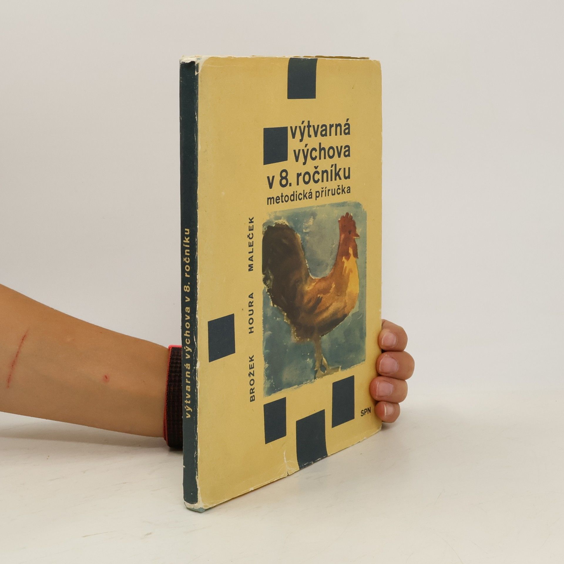 Jaroslav Brožek Výtvarná výchova v 8. ročníku. Metodická příručka