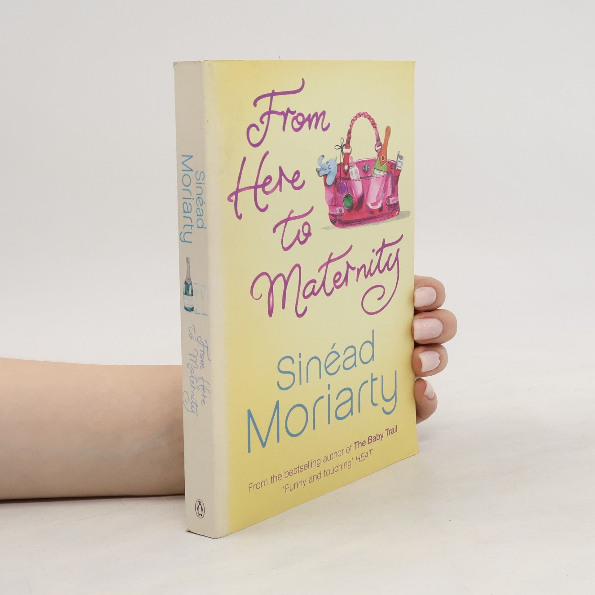 Sinéad Moriarty From Here to Maternity