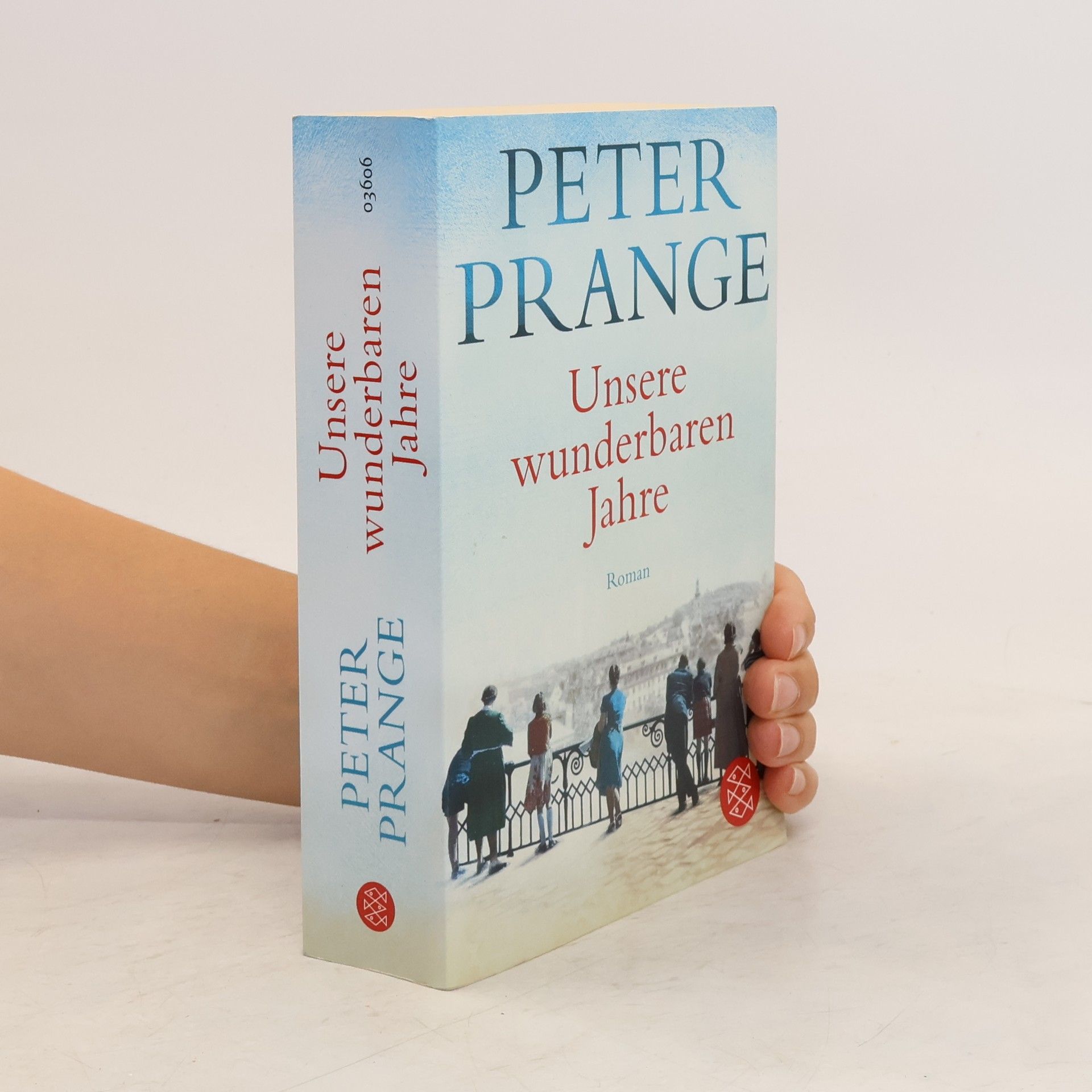 Peter Prange Unsere wunderbaren Jahre