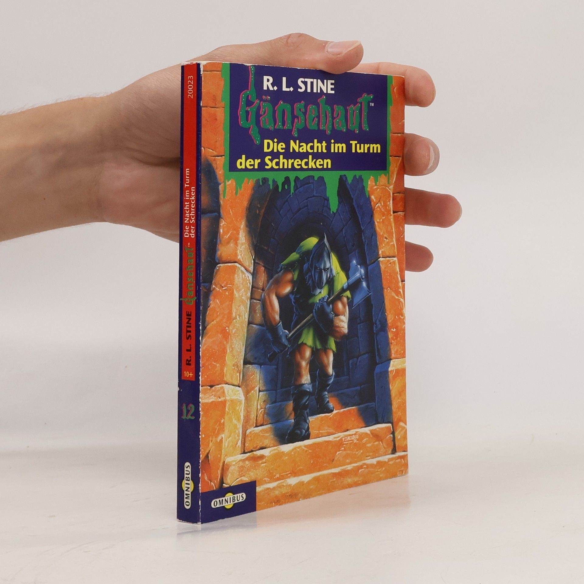 R. L. Stine Die Nacht im Turm der Schrecken. Gänsehaut Band 12