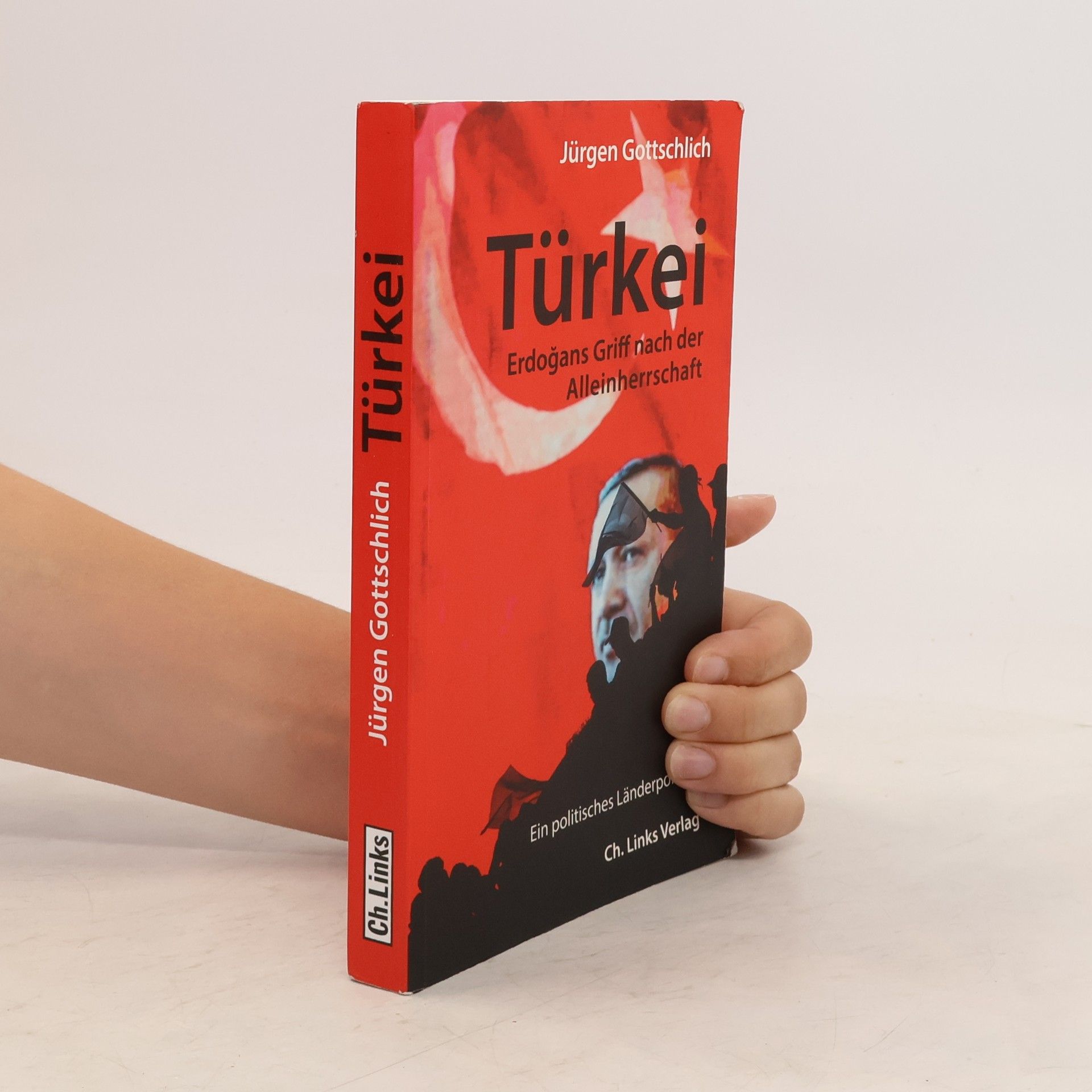 Jürgen Gottschlich Türkei - Erdoğans Griff nach der Alleinherrschaft