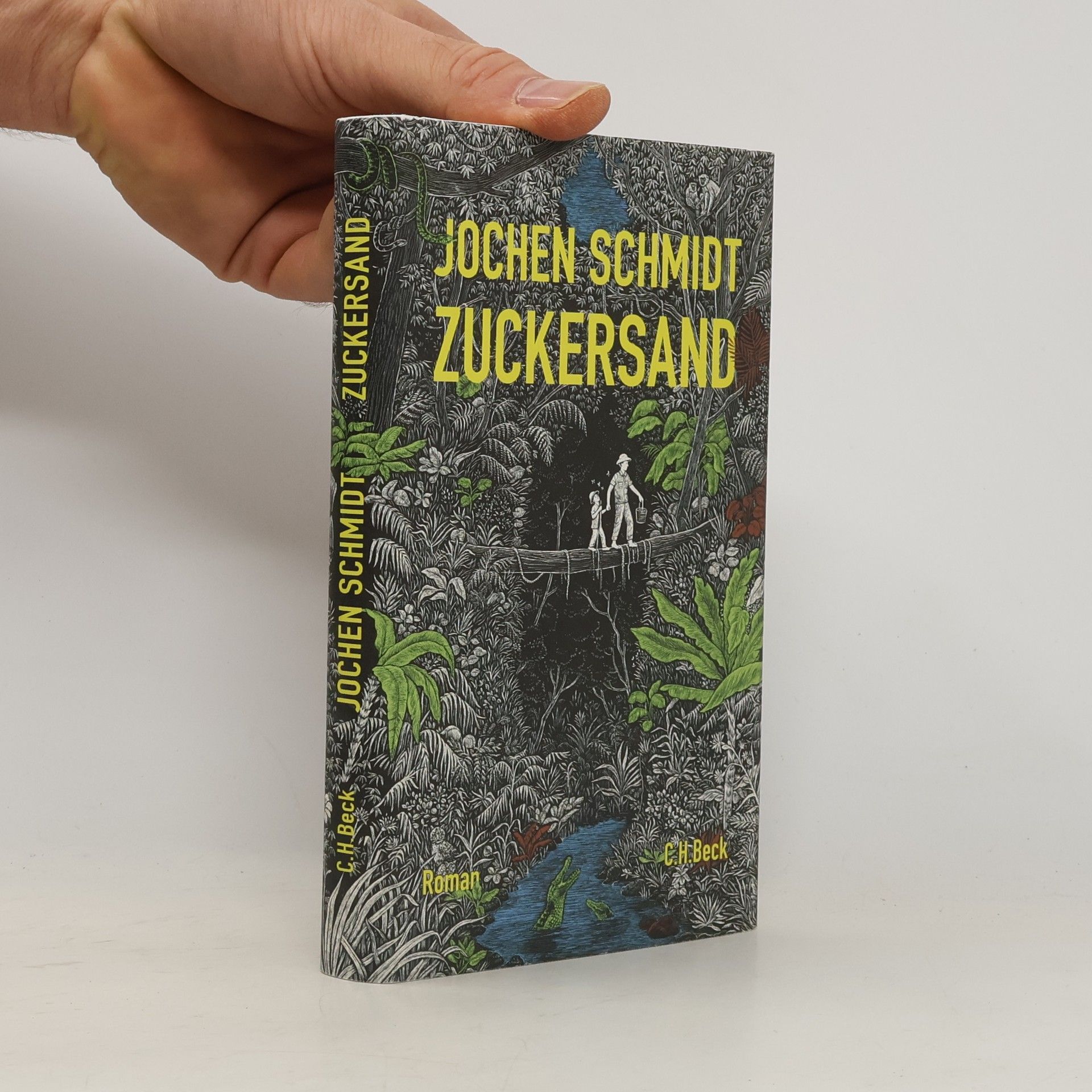 Jochen Schmidt-Liebich Zuckersand