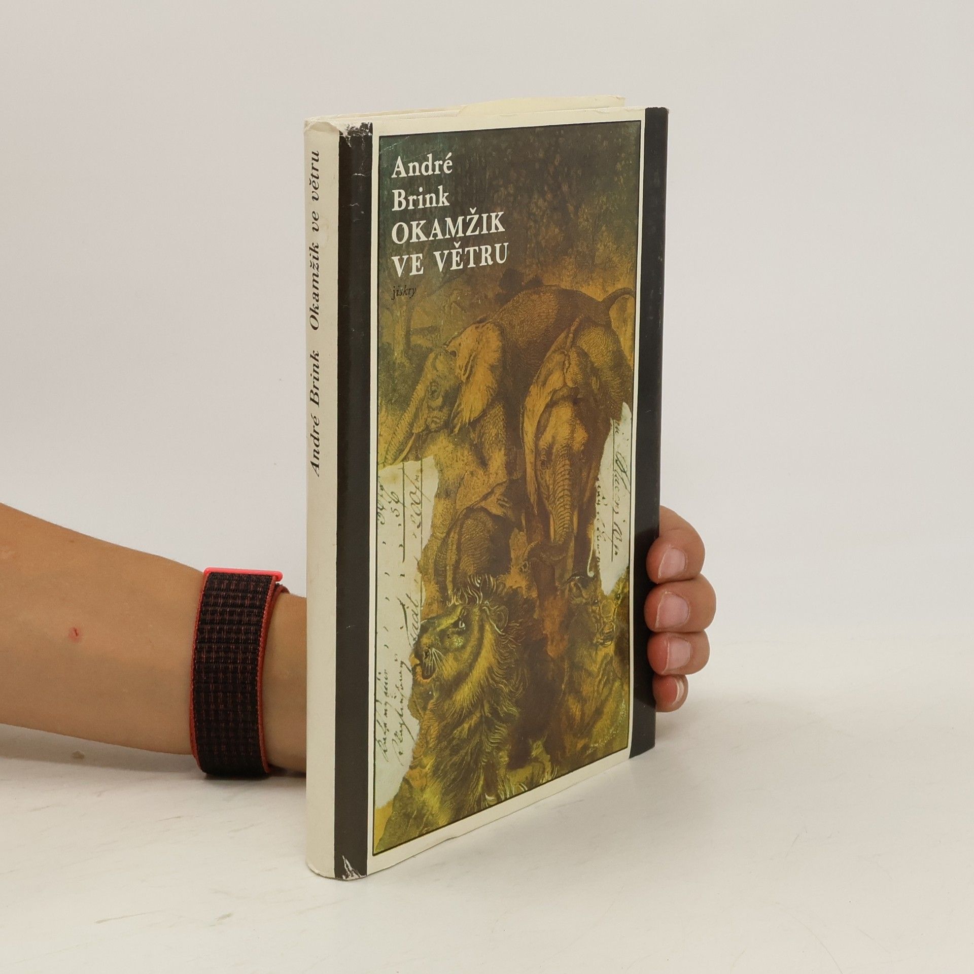 André P. André Philippus Brink Okamžik ve větru