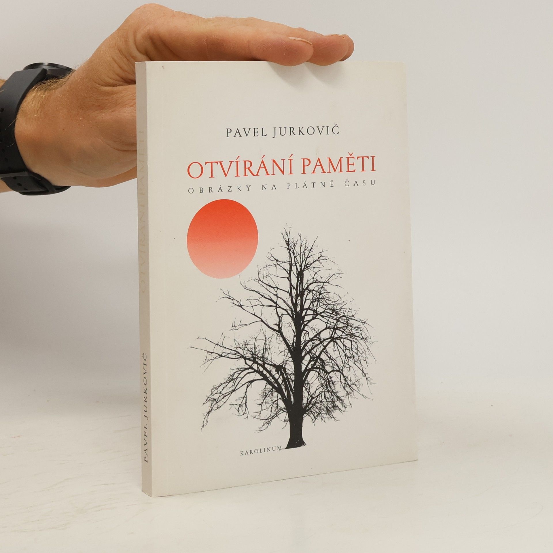 Pavel Jurkovič Otvírání paměti: obrázky na plátně času