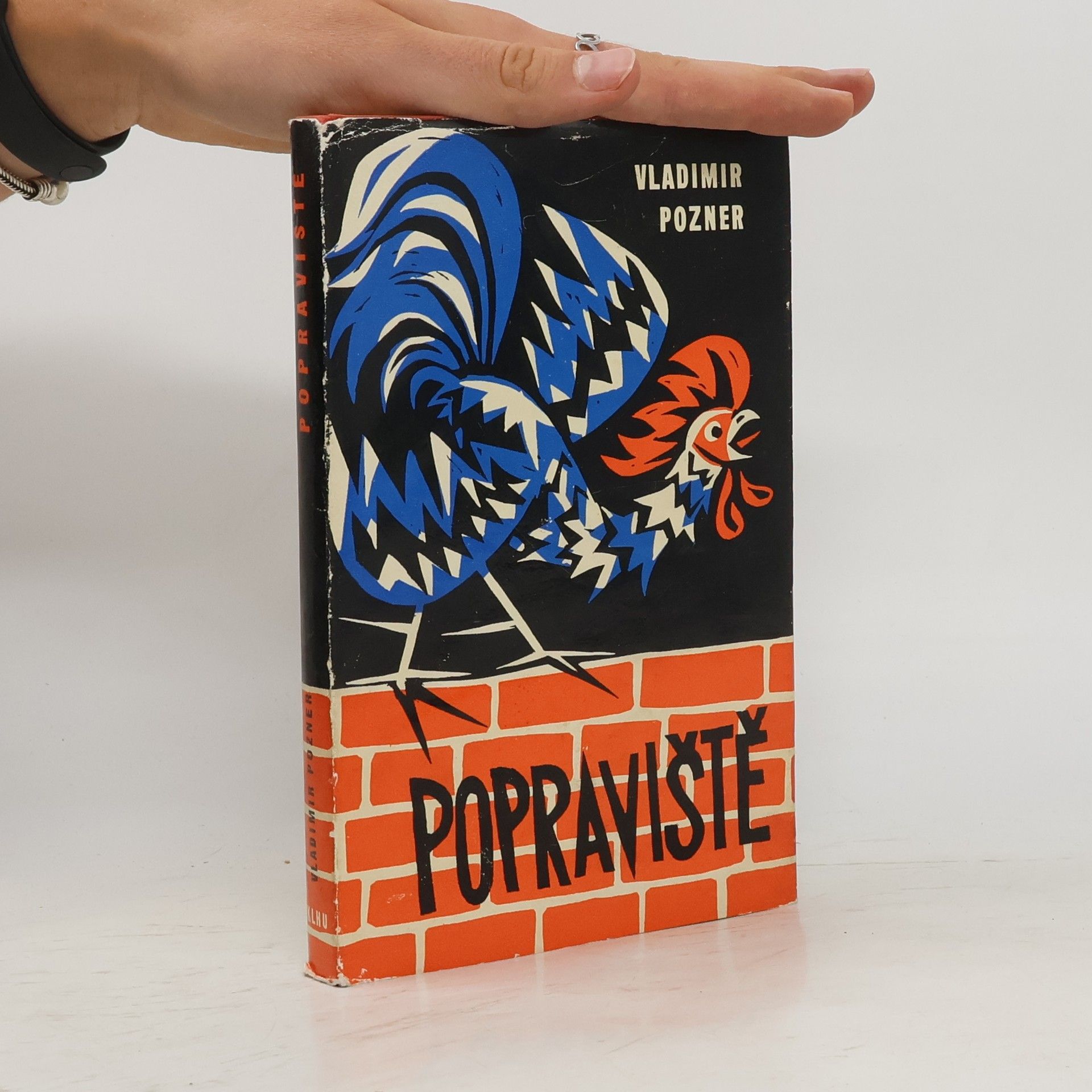 Vladimir Pozner Popraviště
