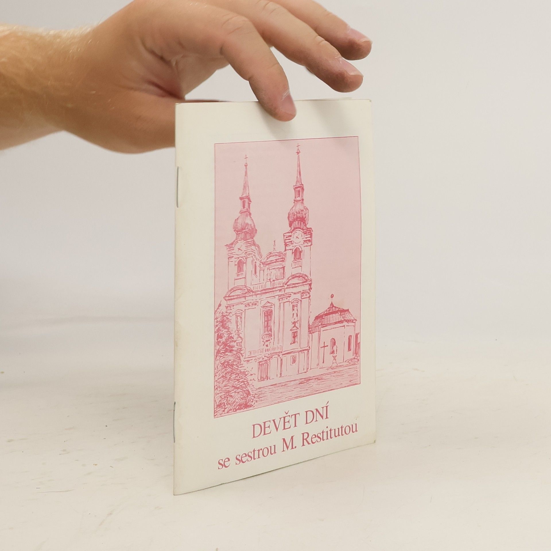 Auteurscollectief Devět dní se sestrou M. Restitutou