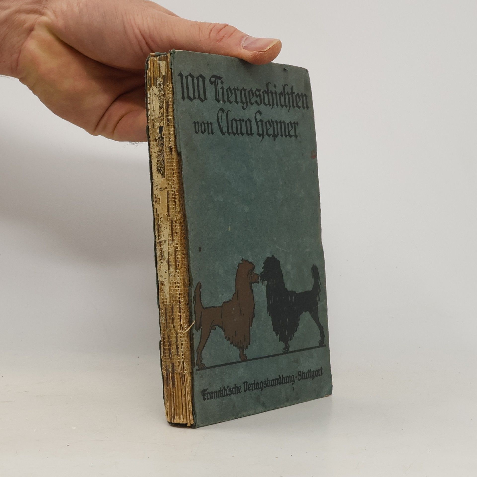 Klara Hepner Hundert Neue Tiergeschichten