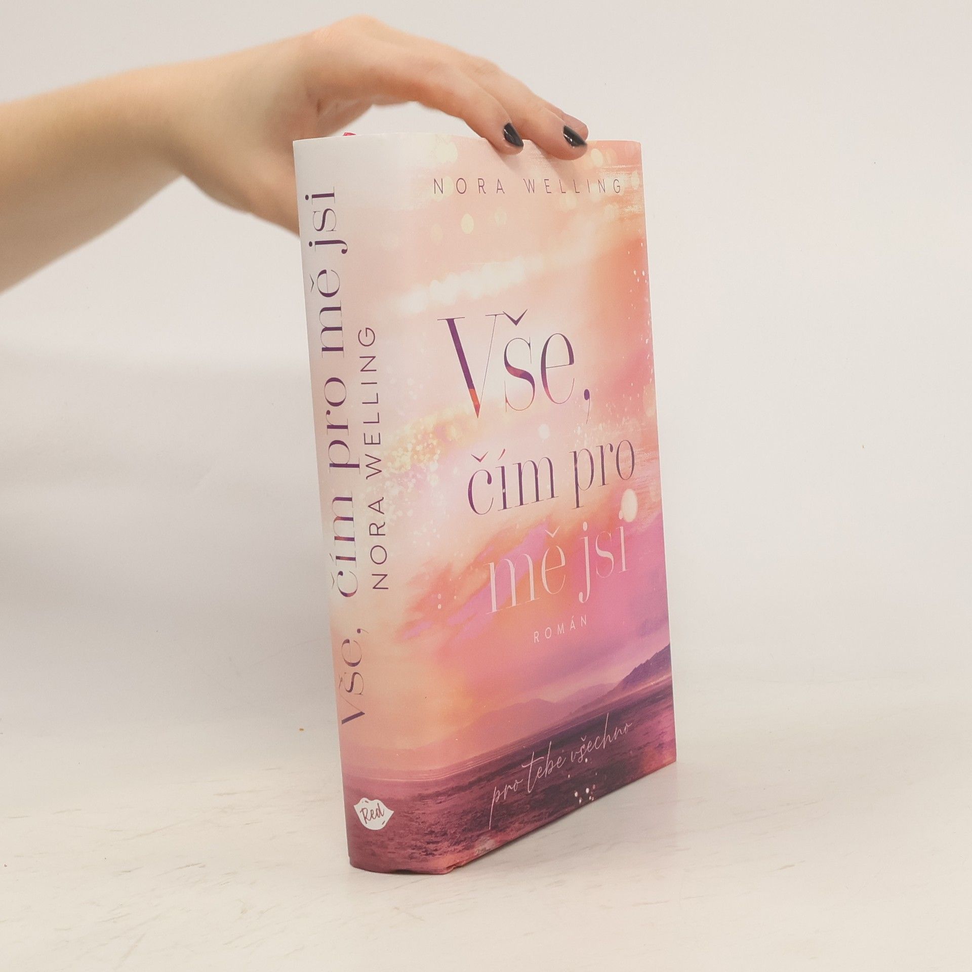 Nora Welling Vše, čím pro mě jsi