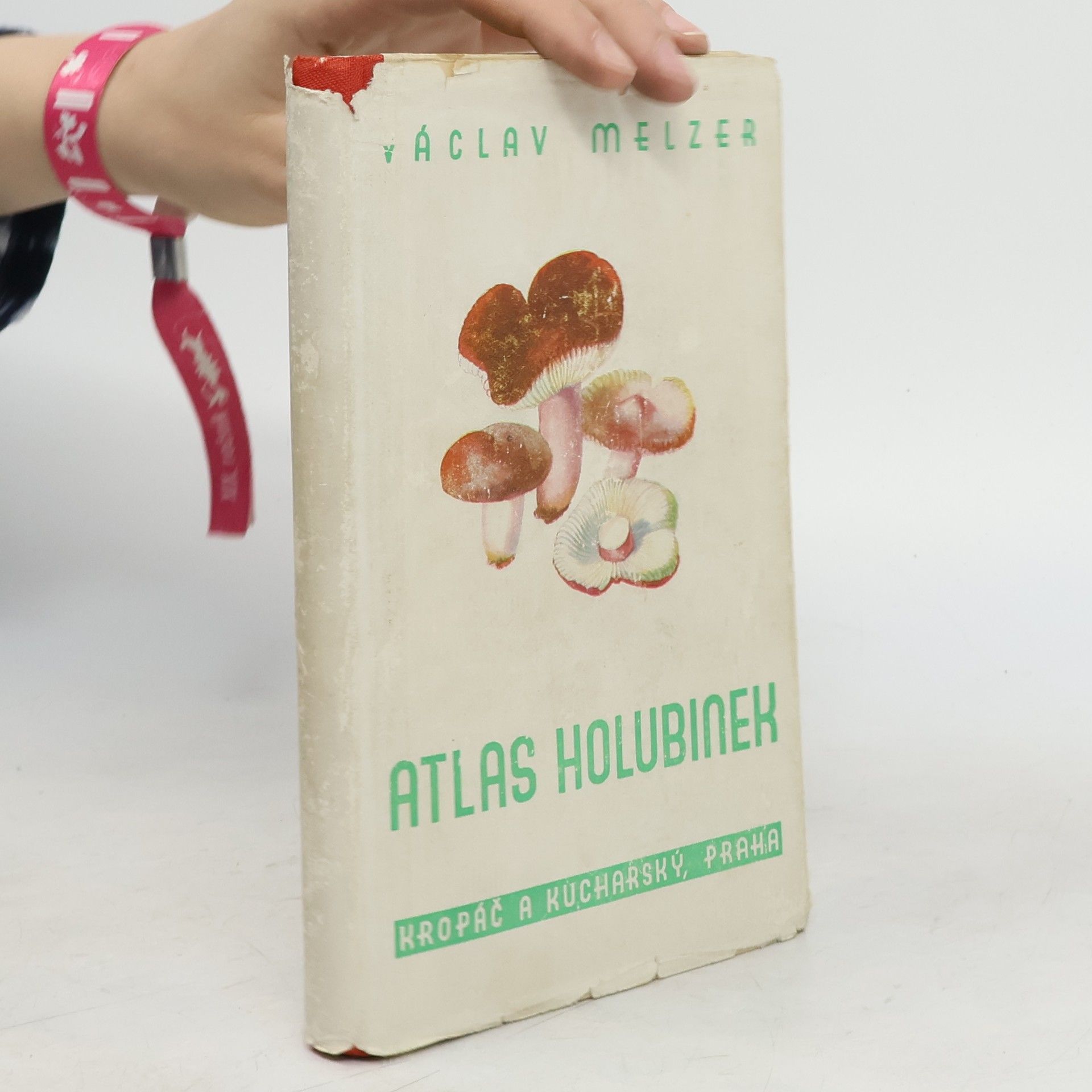 Václav Melzer Atlas holubinek